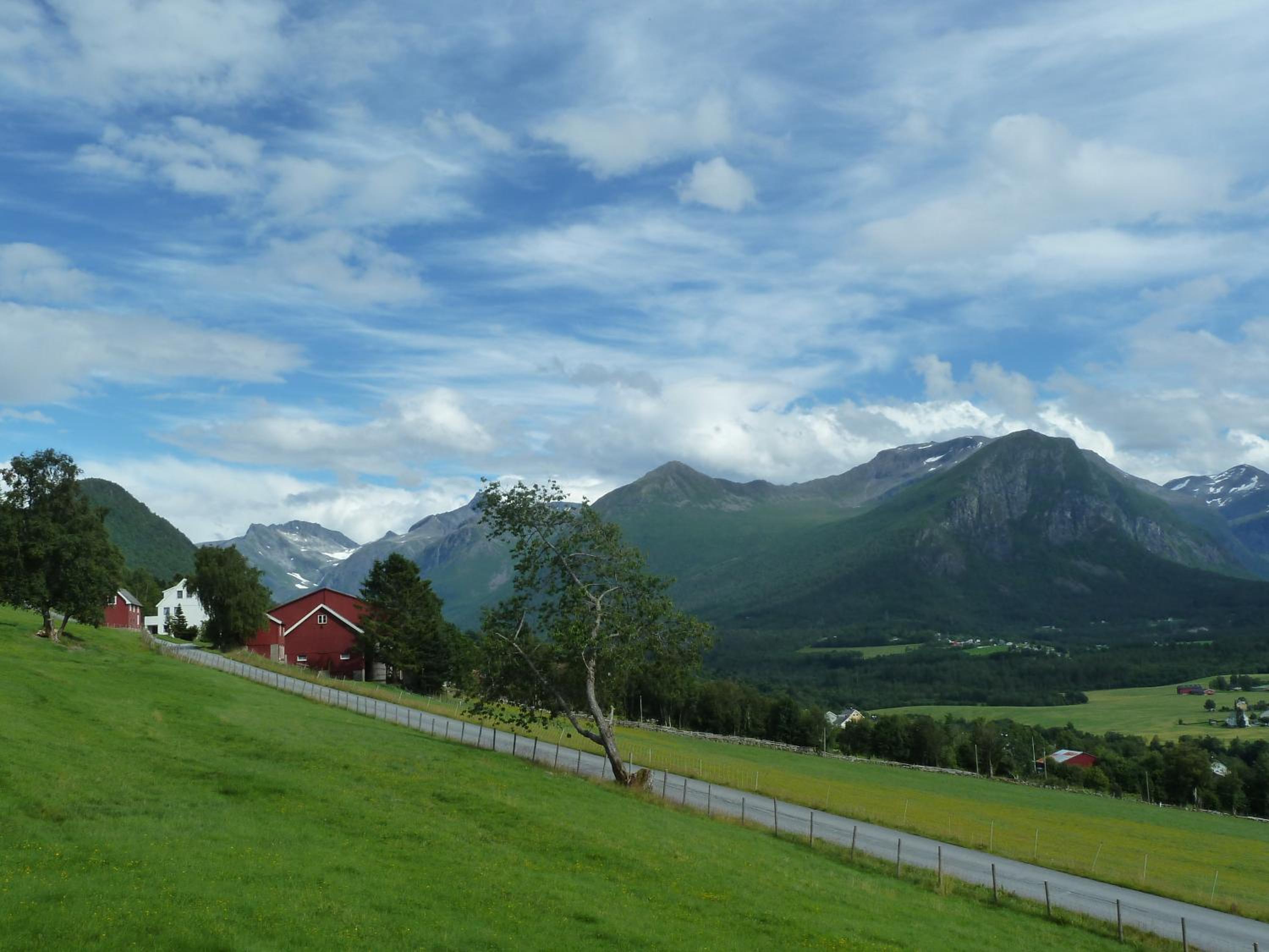Photo 36