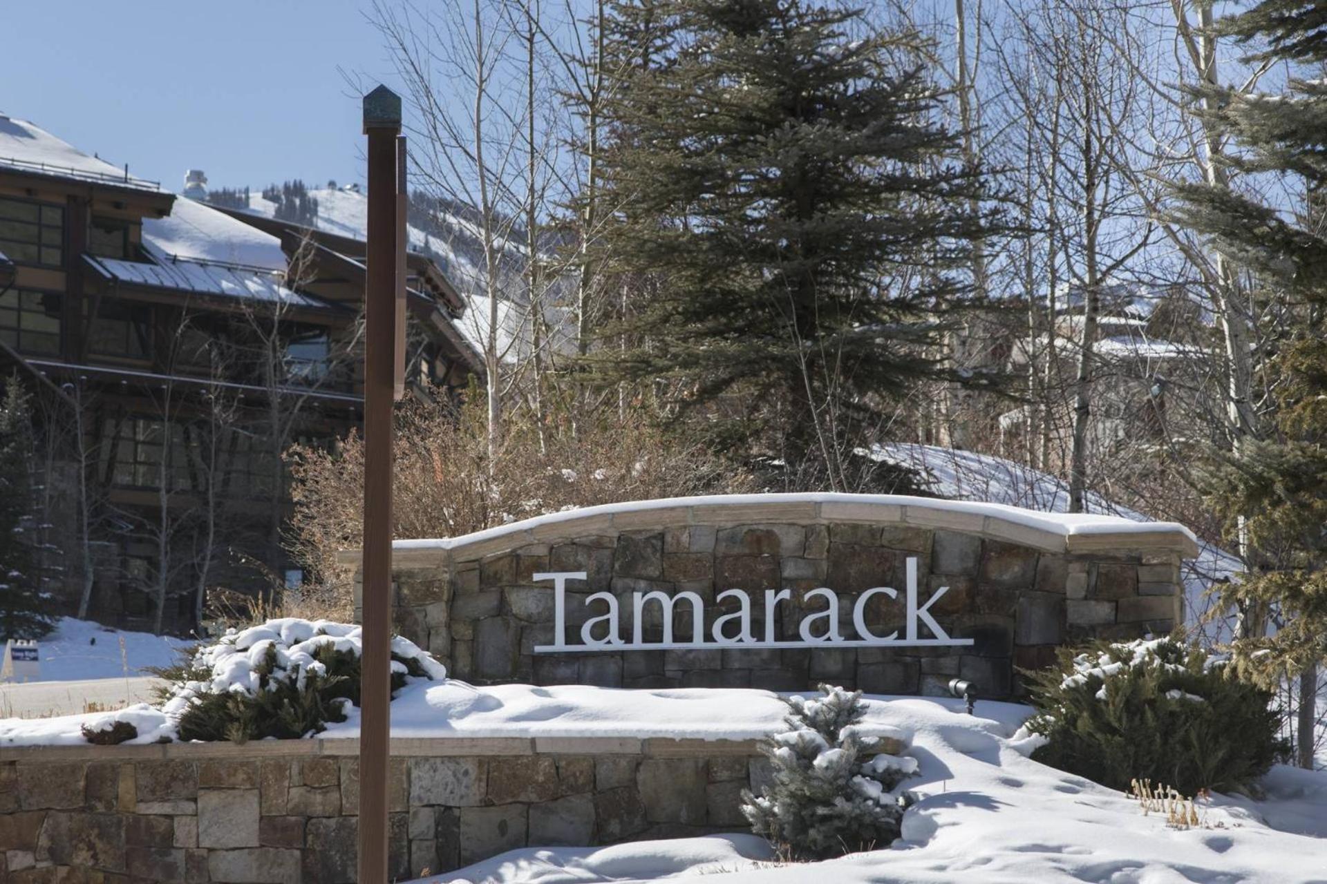 Tamarack Townhome #27