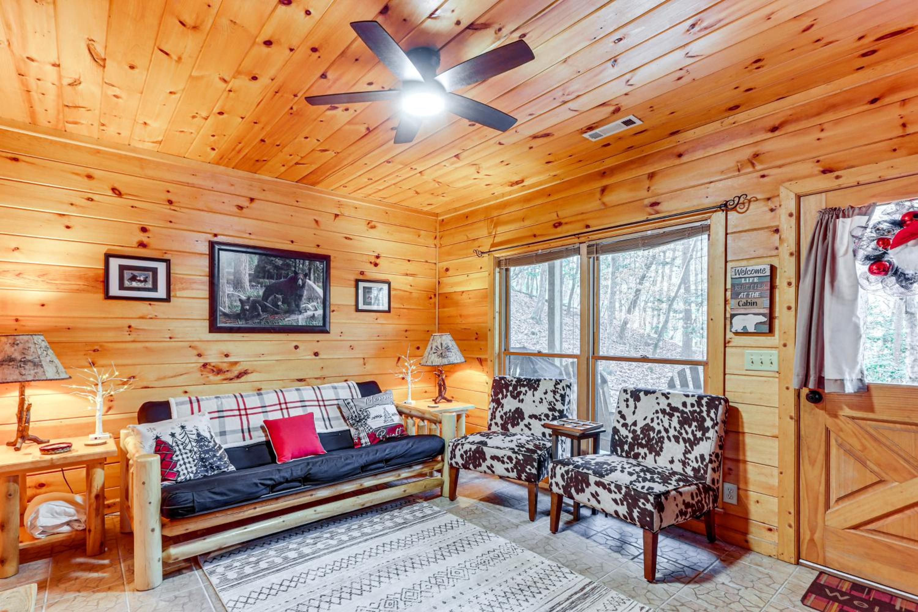 Game Room and Hot Tub! Family Cabin in Blue Ridge