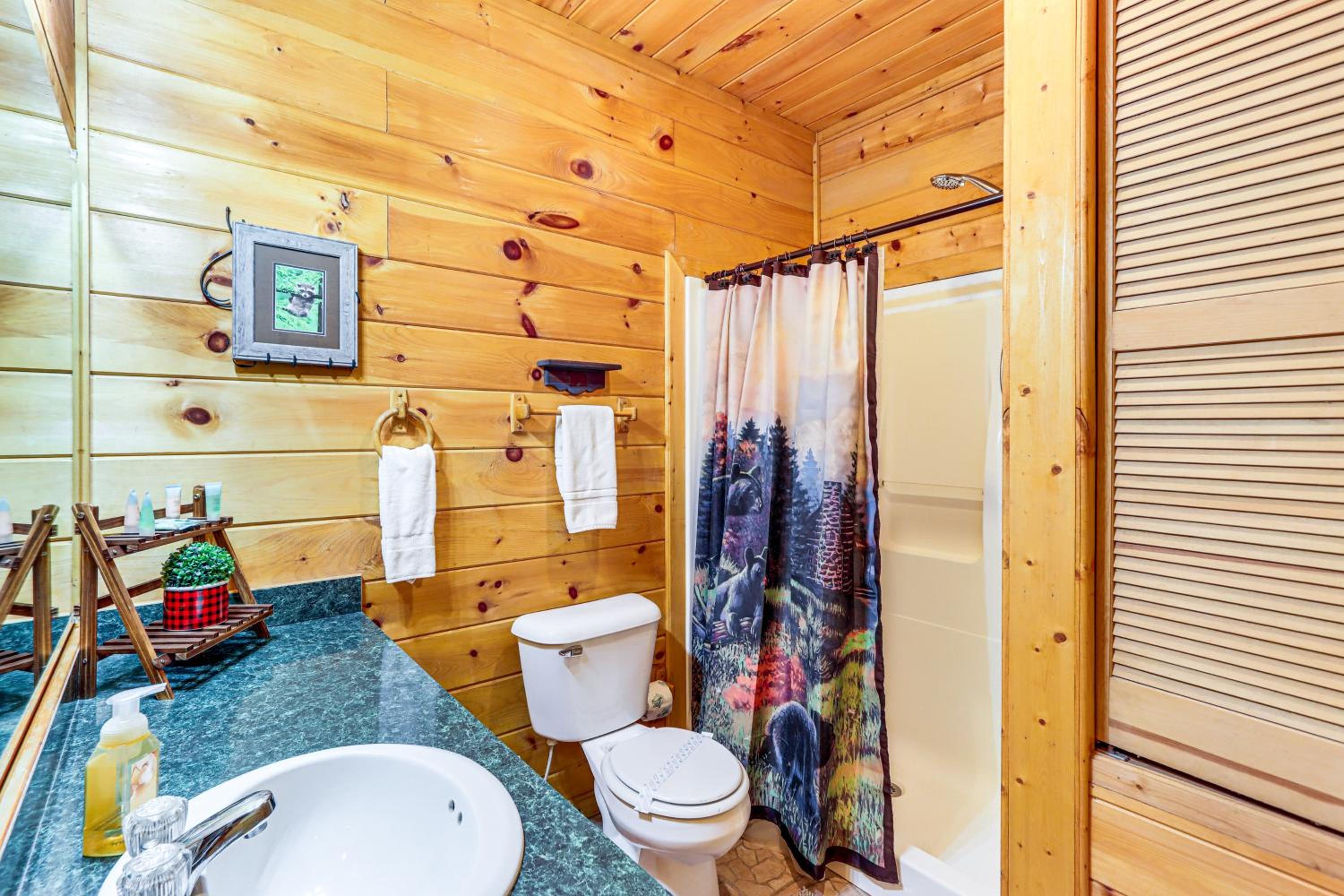 Game Room and Hot Tub! Family Cabin in Blue Ridge
