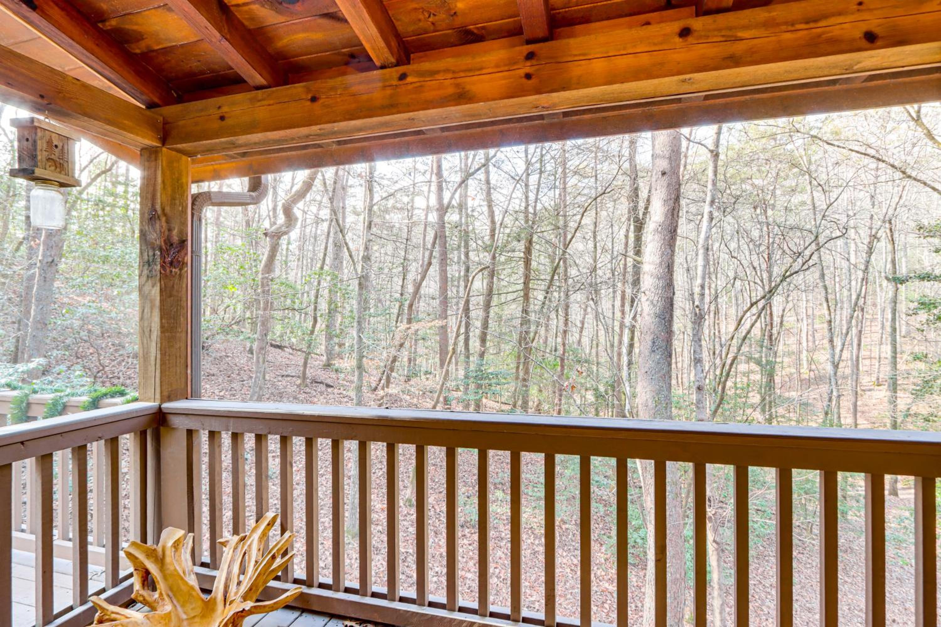 Game Room and Hot Tub! Family Cabin in Blue Ridge