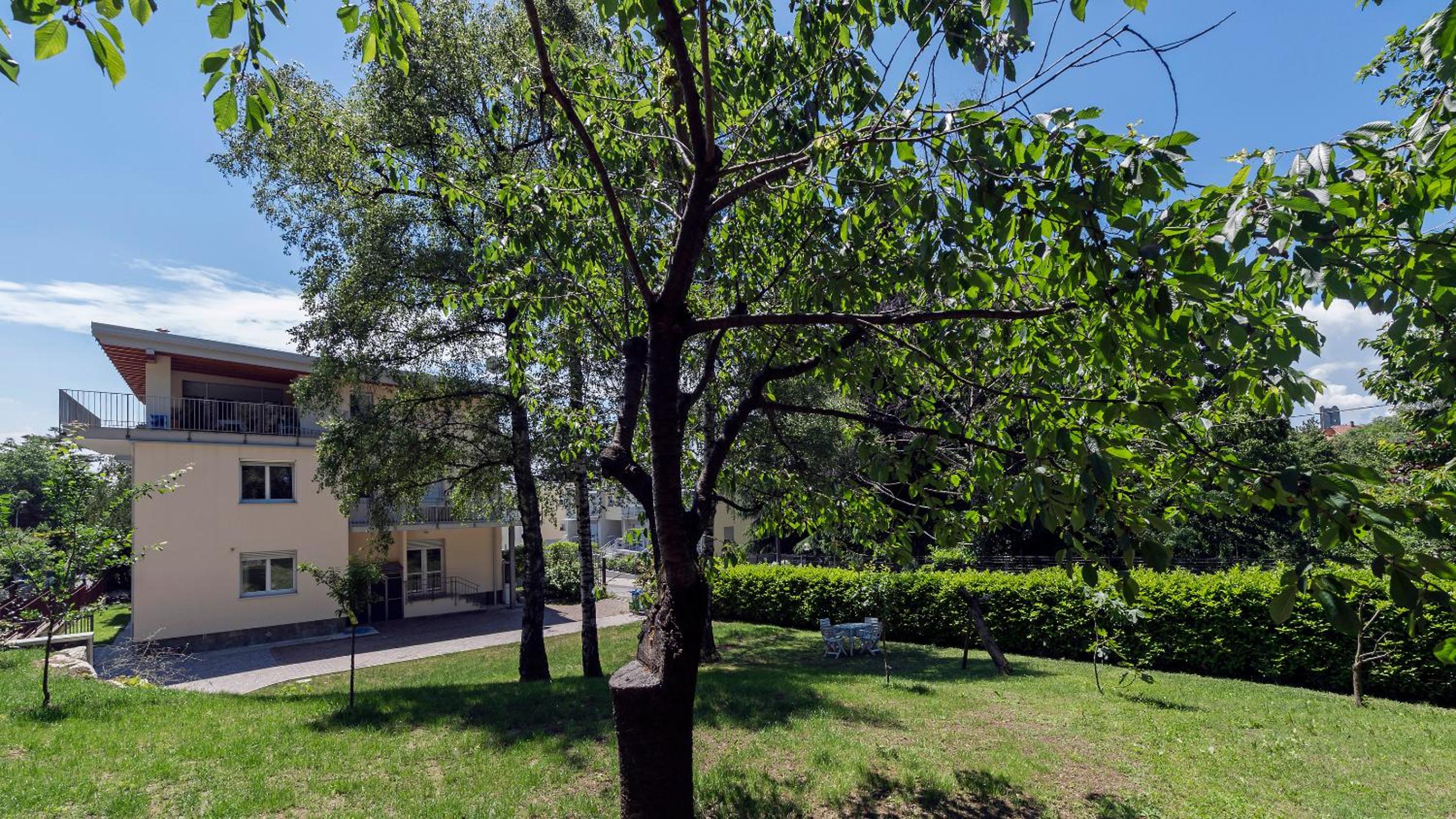 Photo 16
