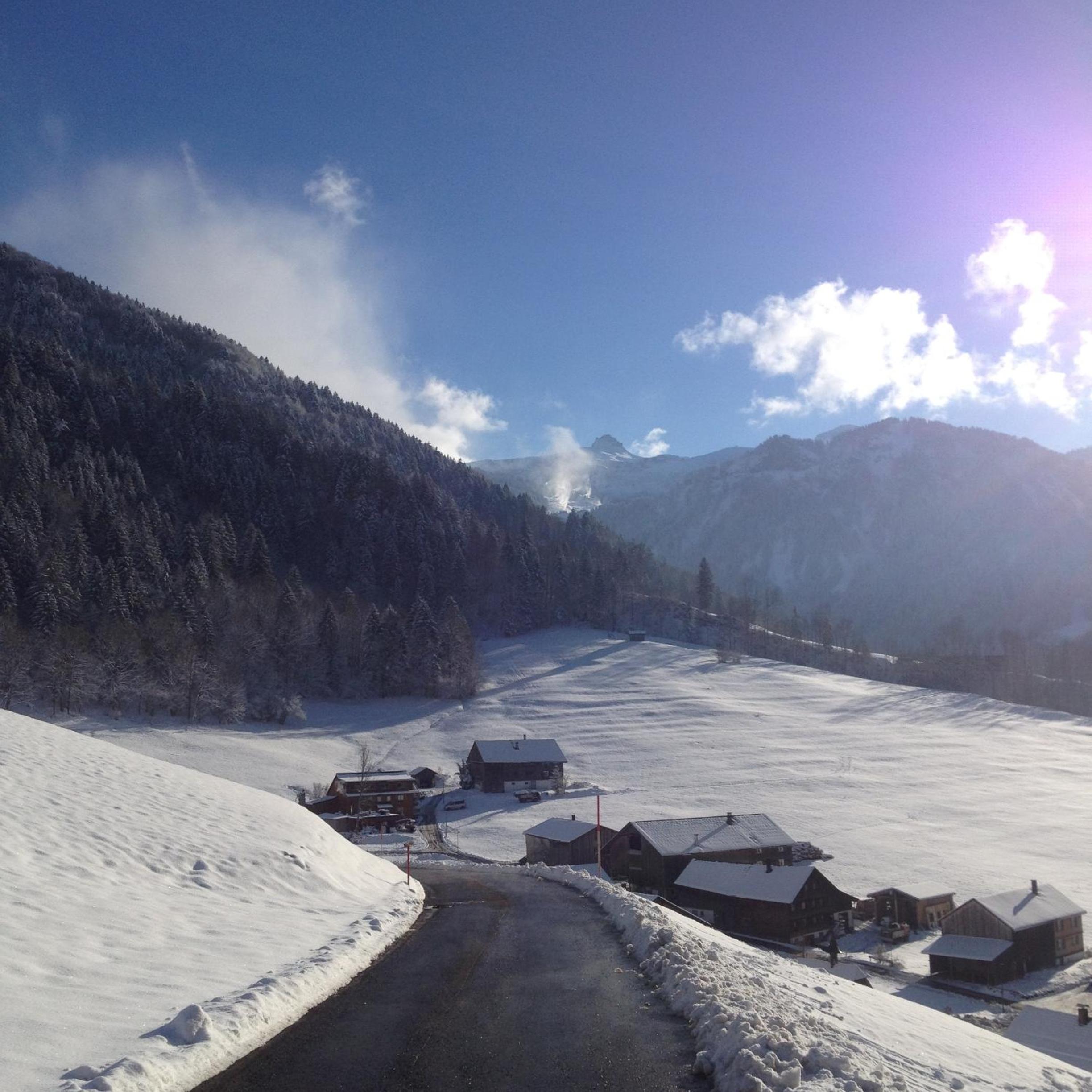 Photo 41