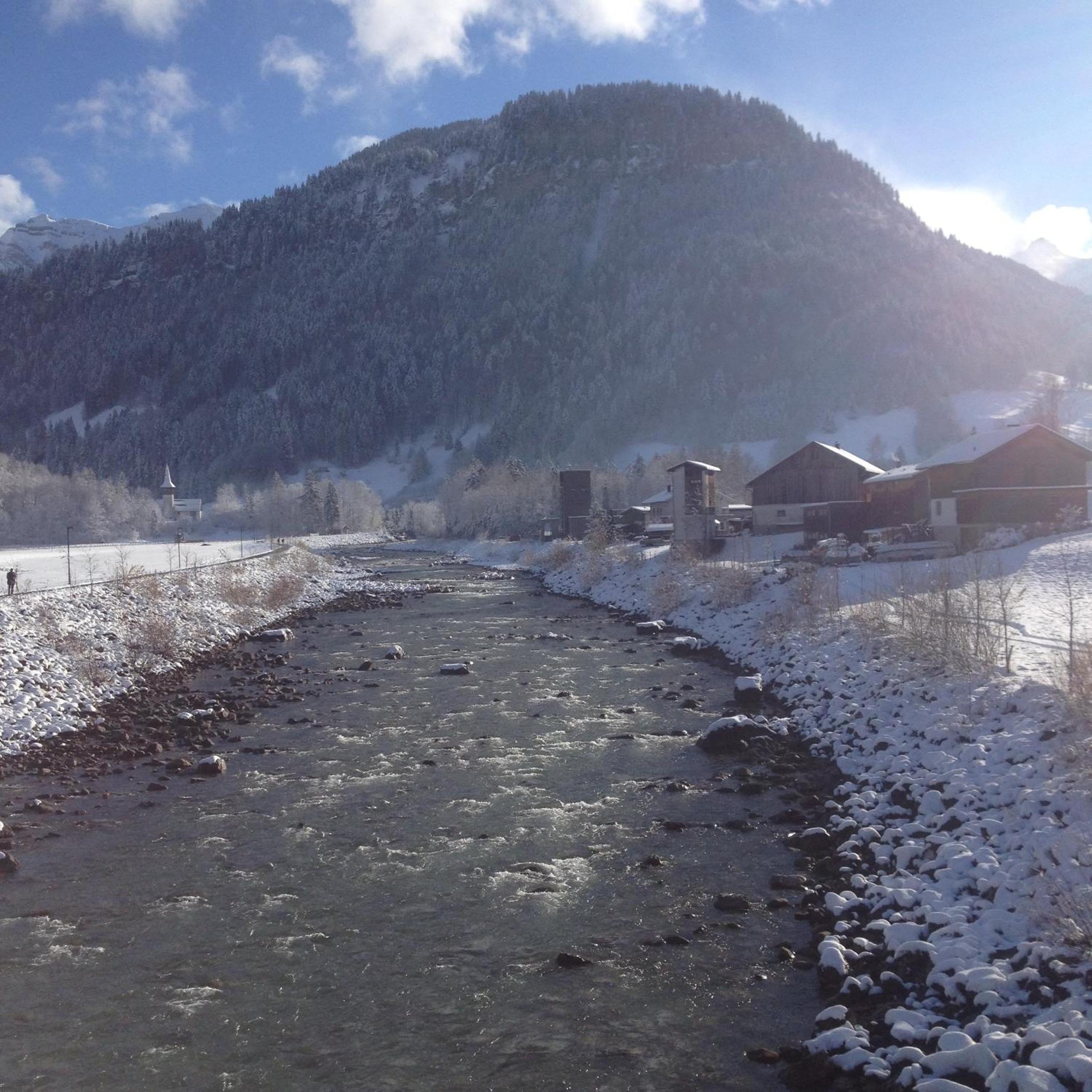 Photo 42