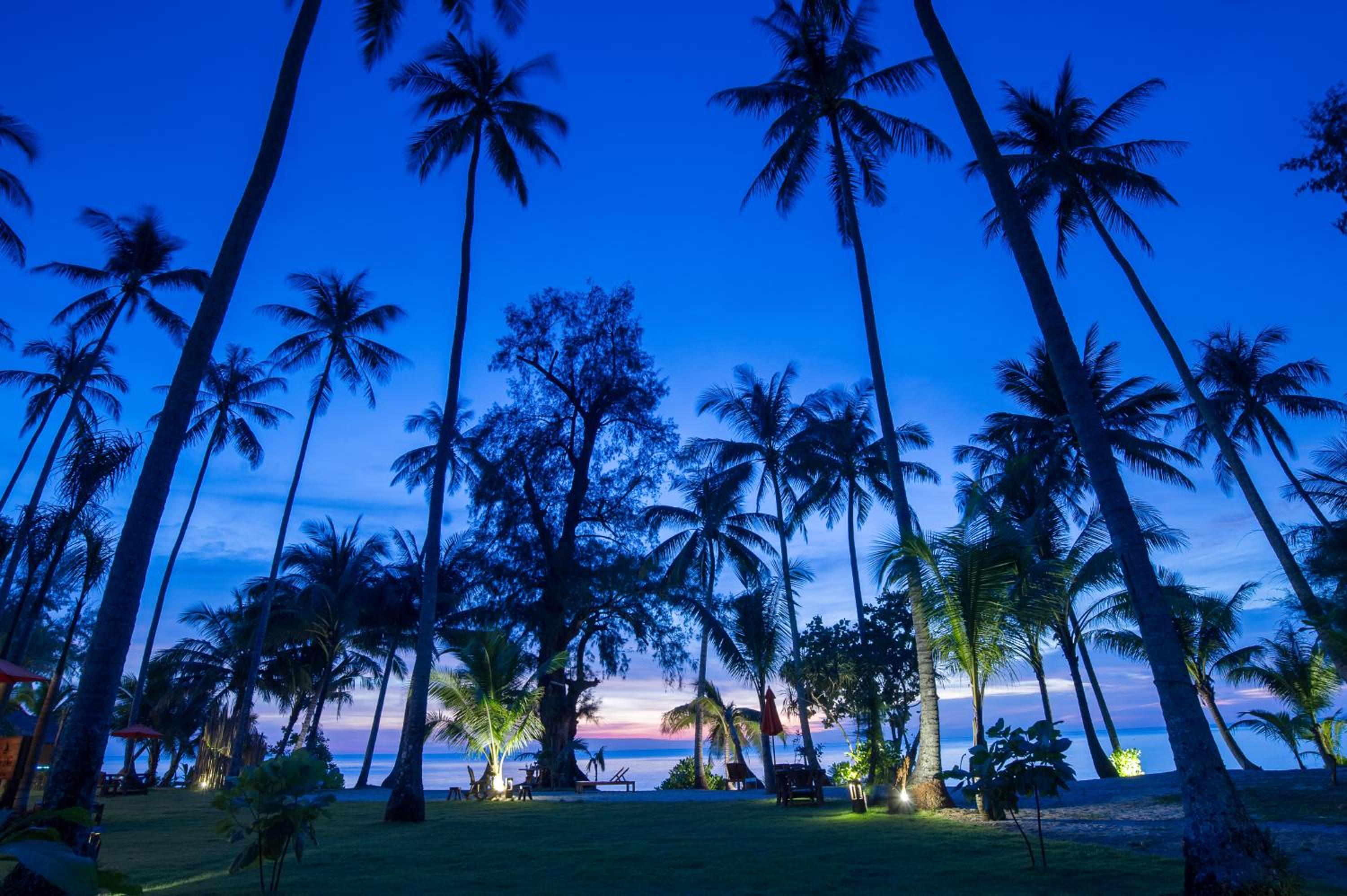 Medee Resort