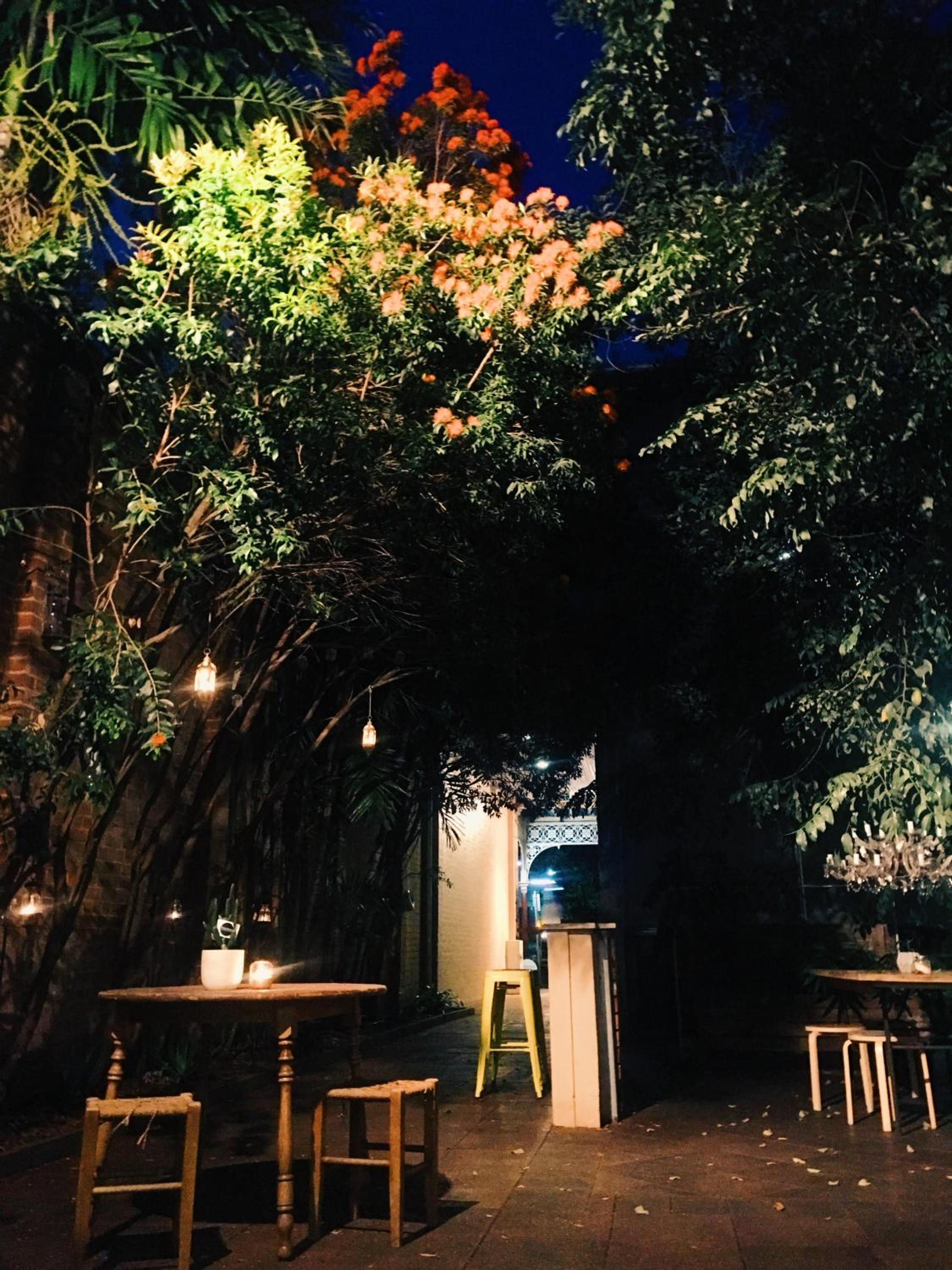 dining