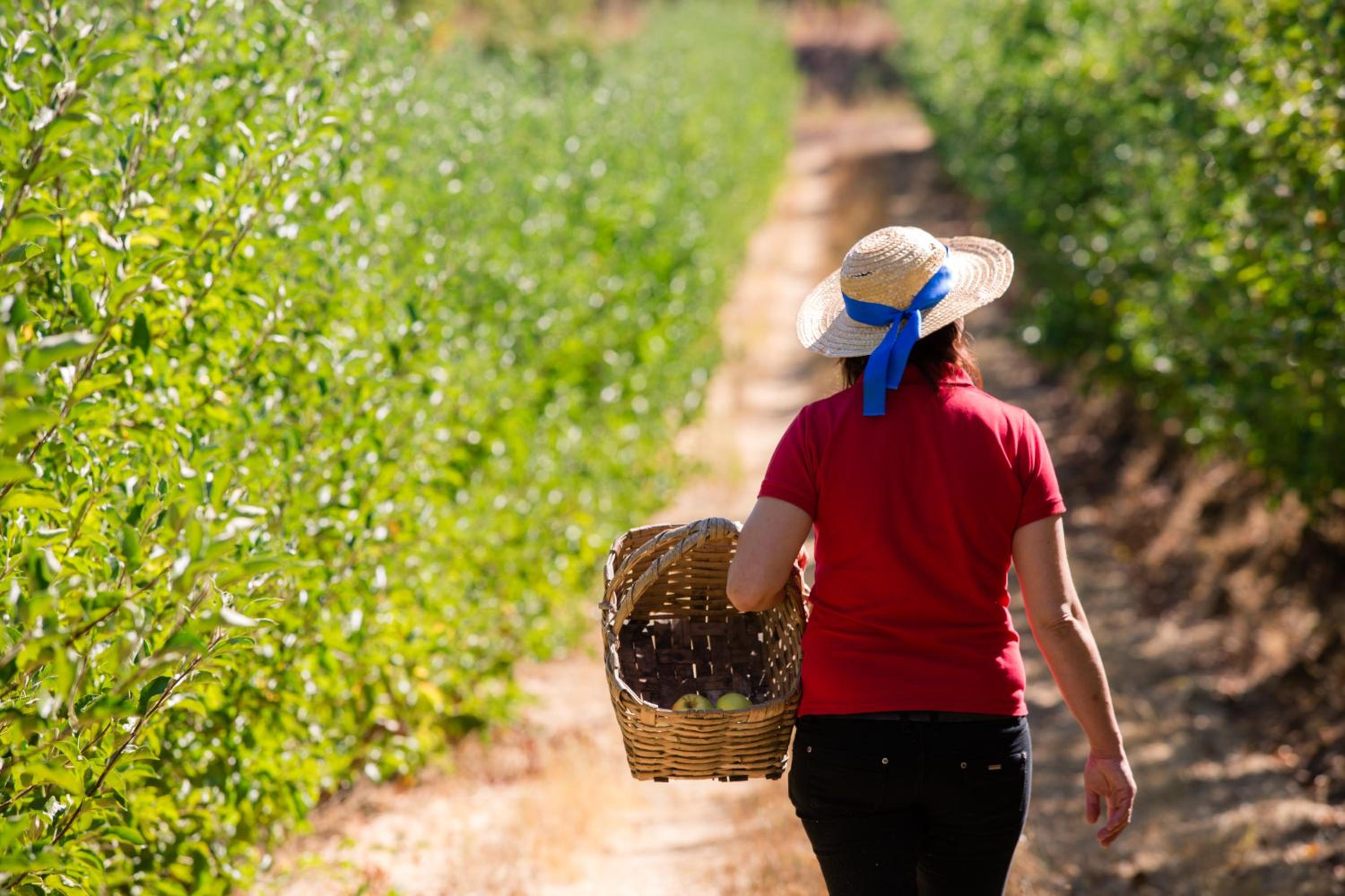 Photo 22