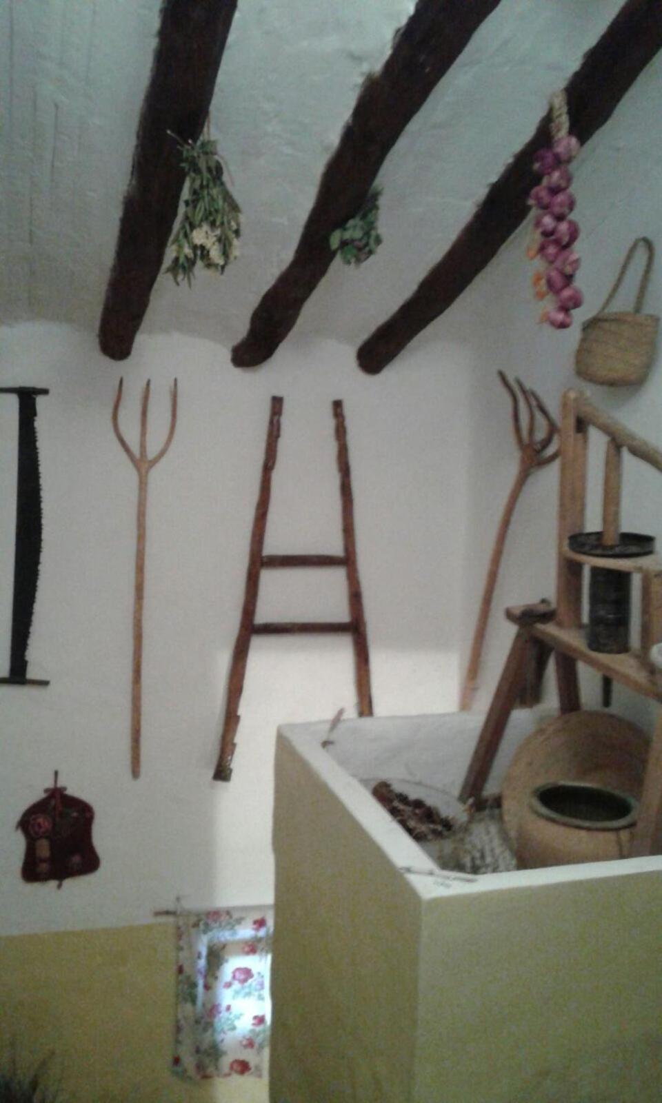 Photo 31