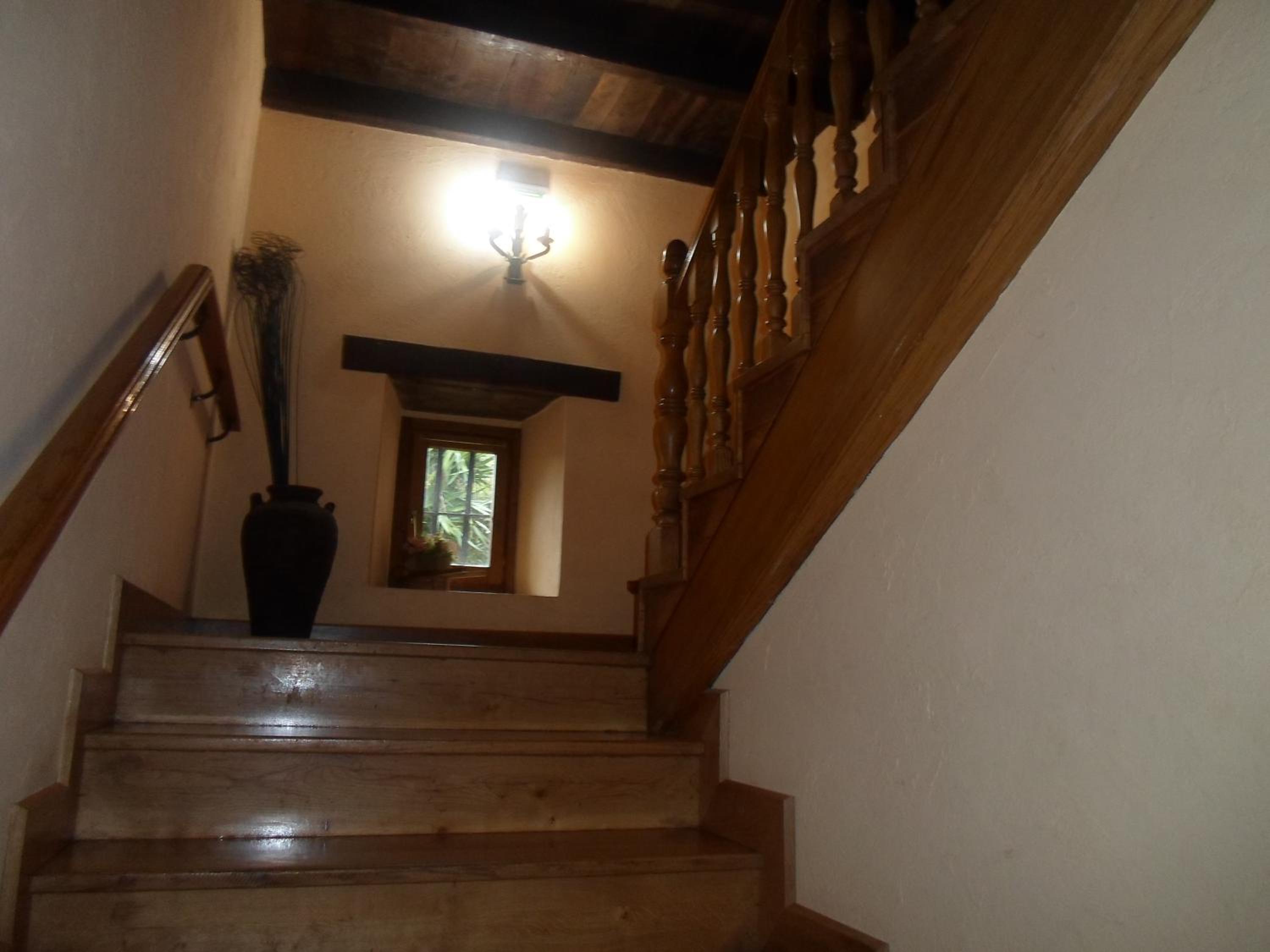 Photo 33