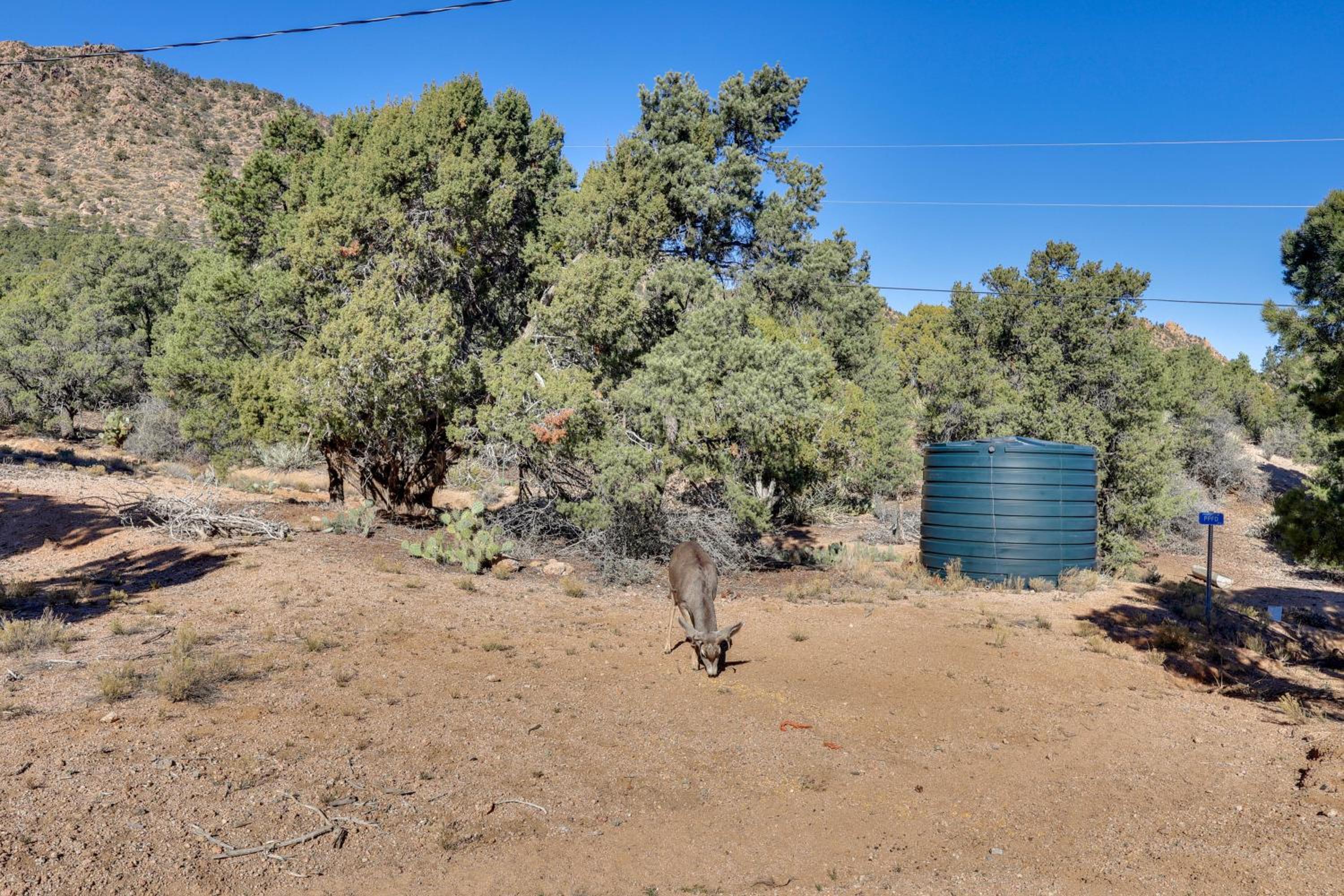 Hualapai Mtn Views on 2 Acres Thunderhead Home