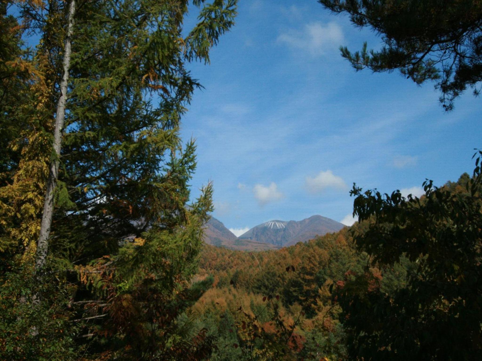Photo 41