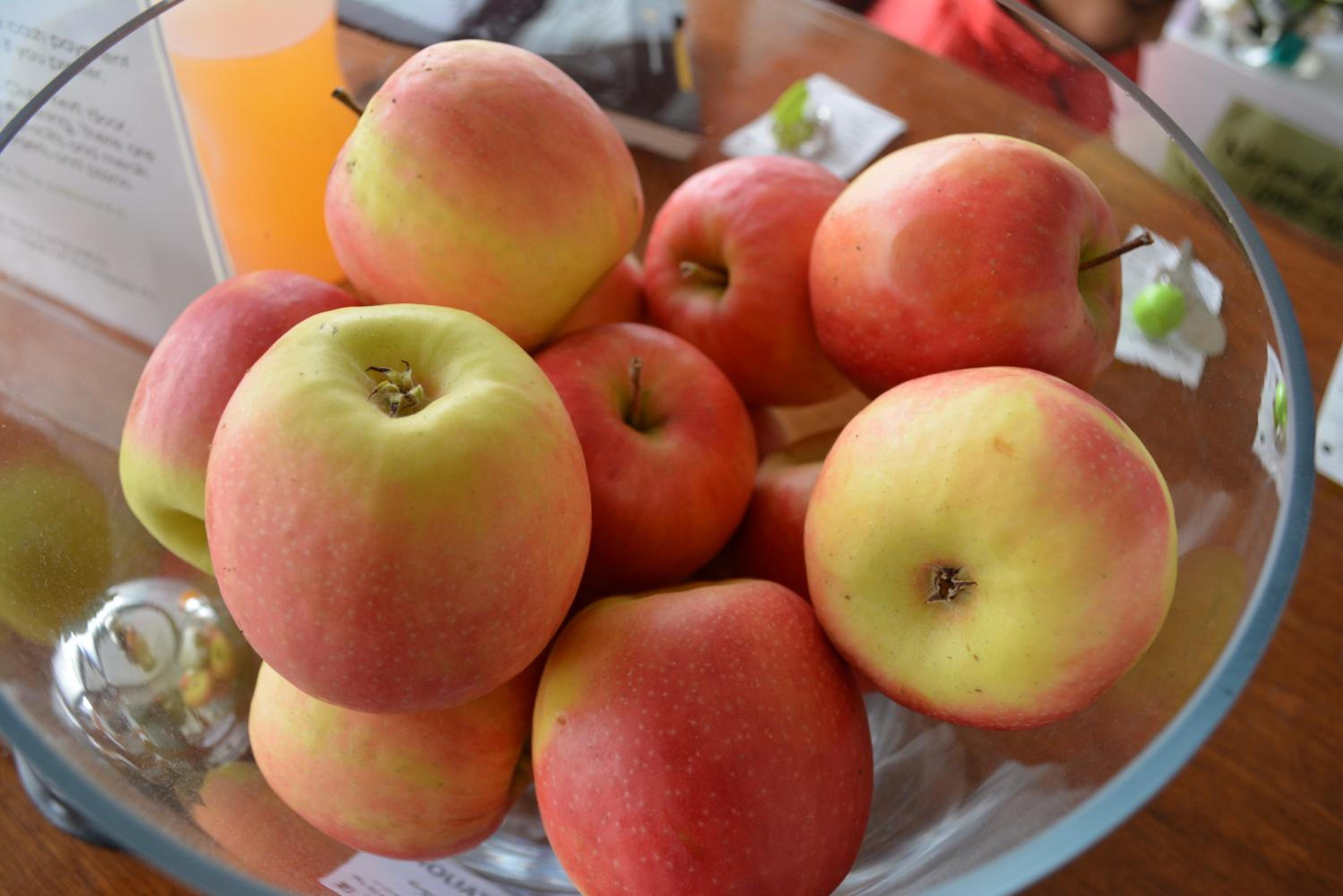 The Apple Inn