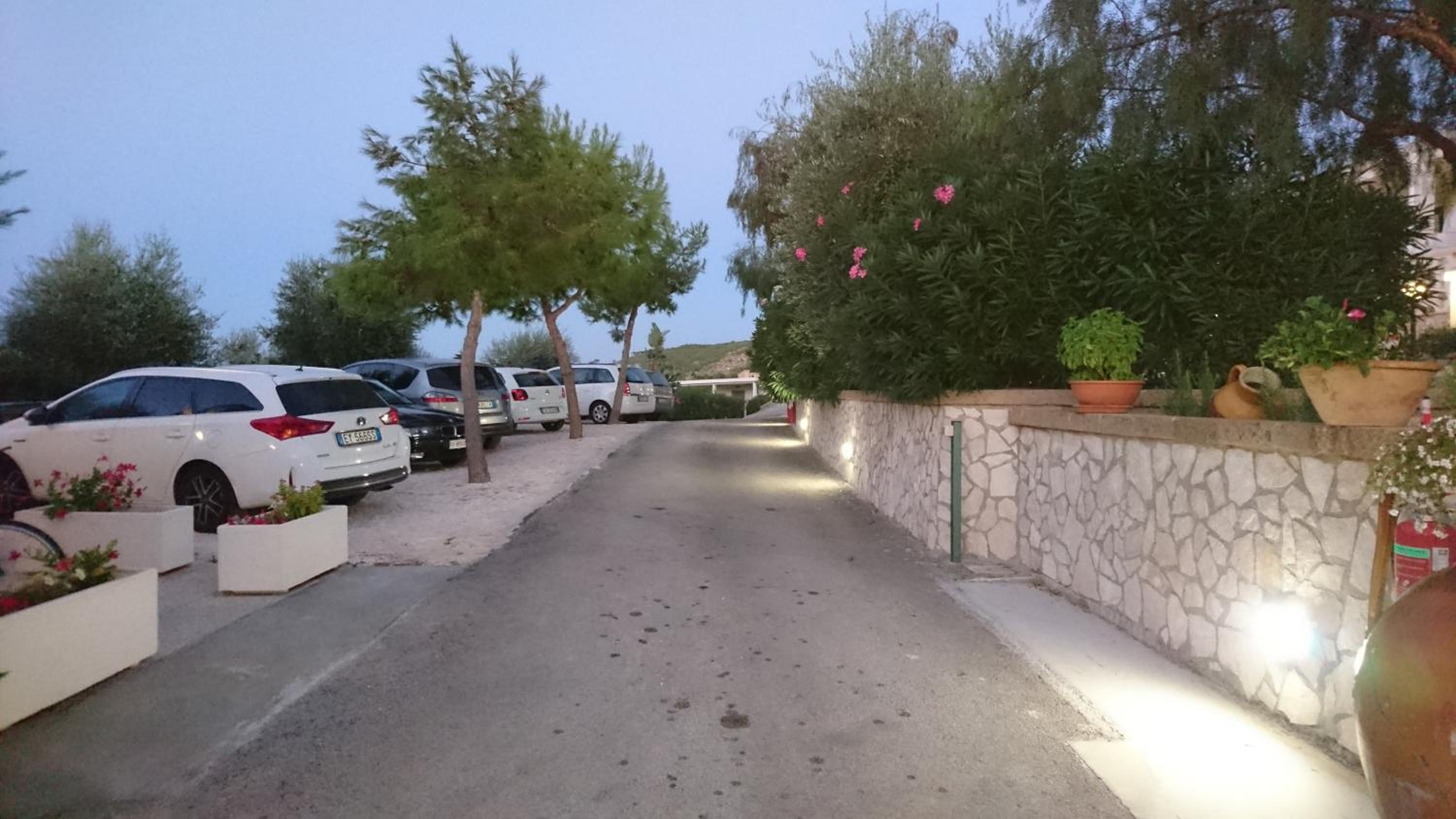 Photo 43