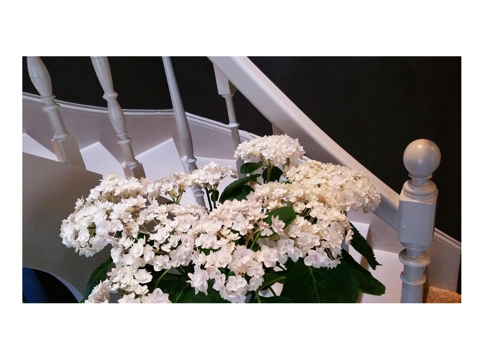 Photo 45