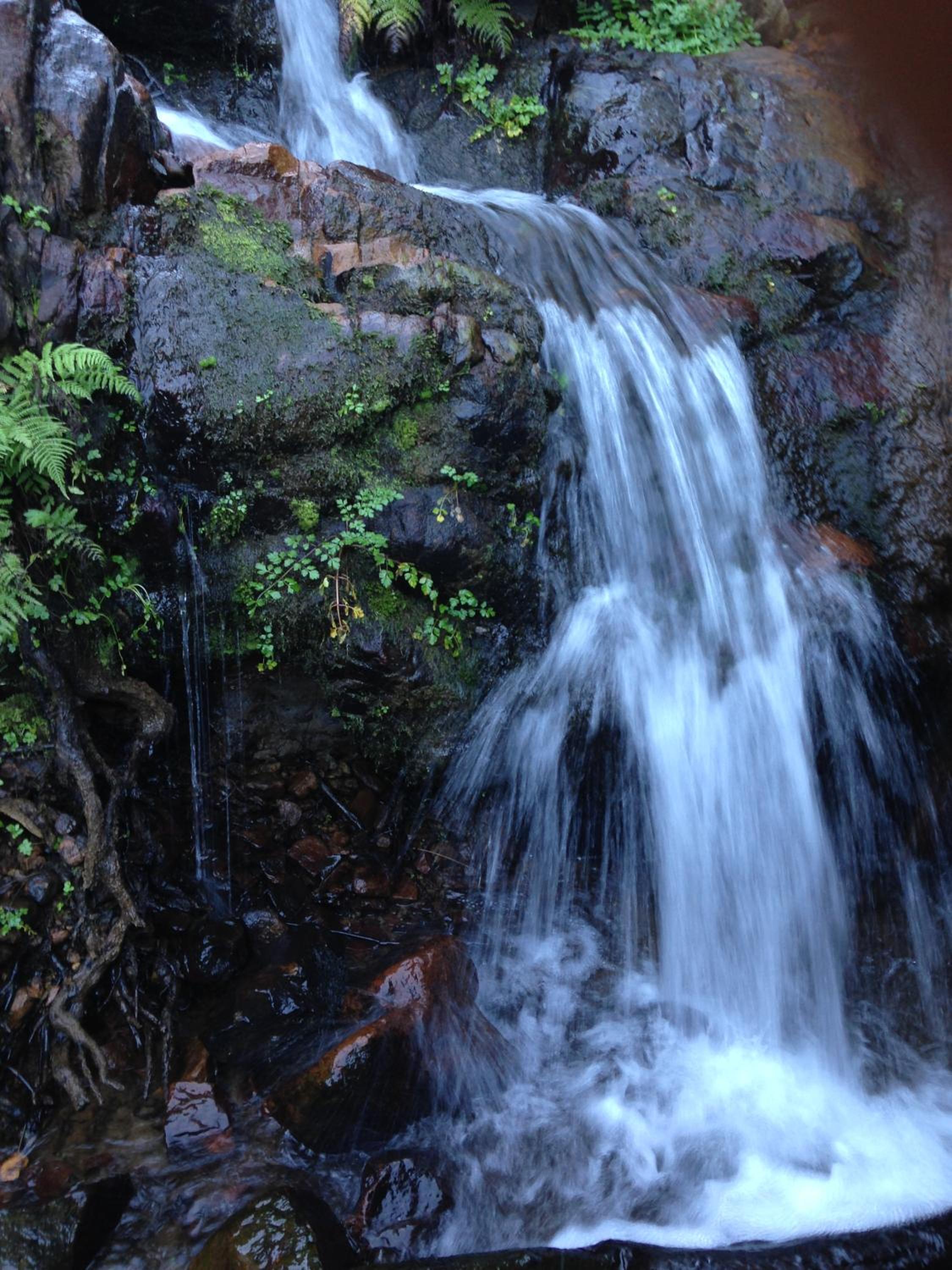 Photo 32
