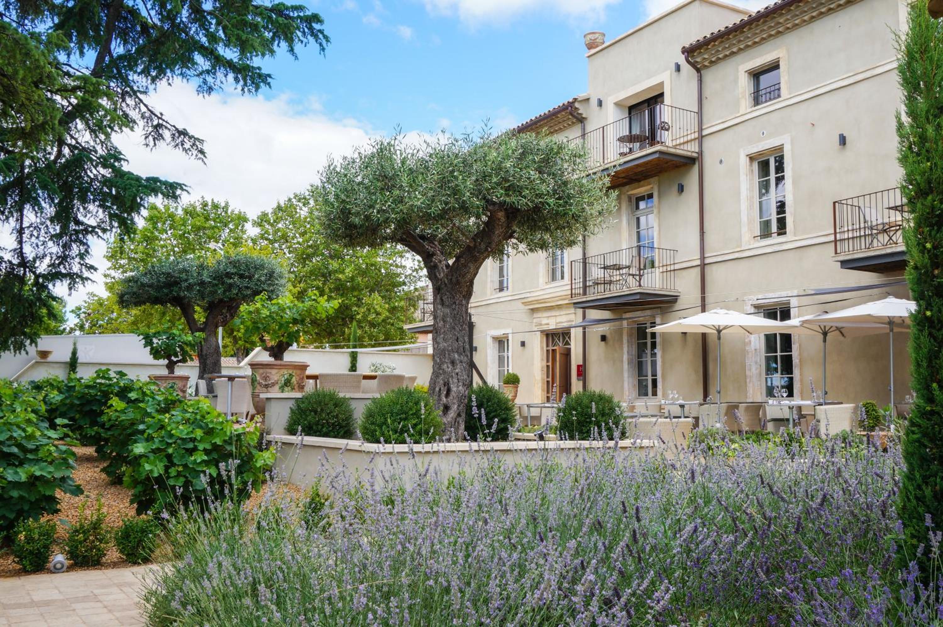 Boutique Hôtel La Villa Montesquieu & sa piscine, photo 8