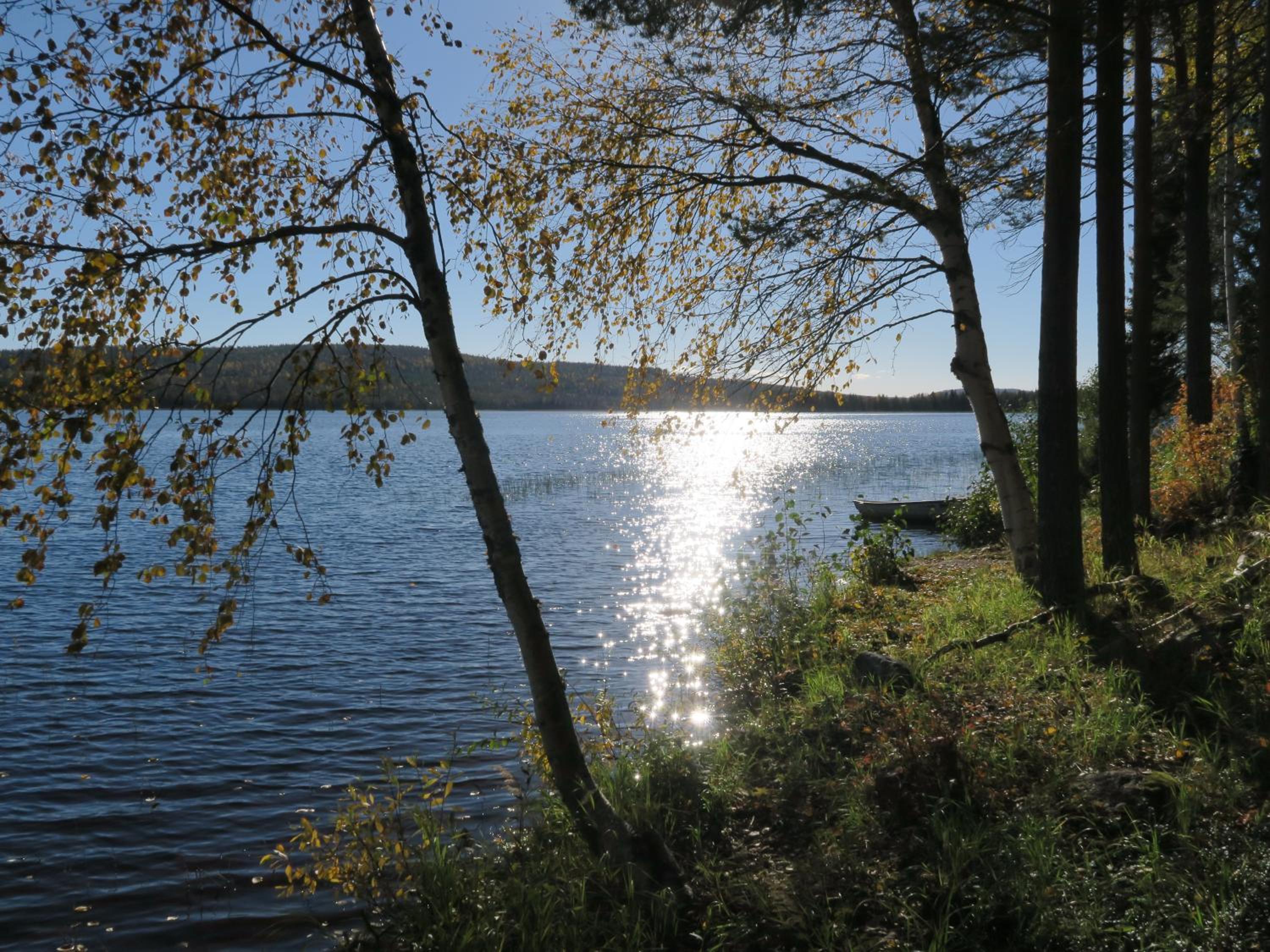 Photo 48