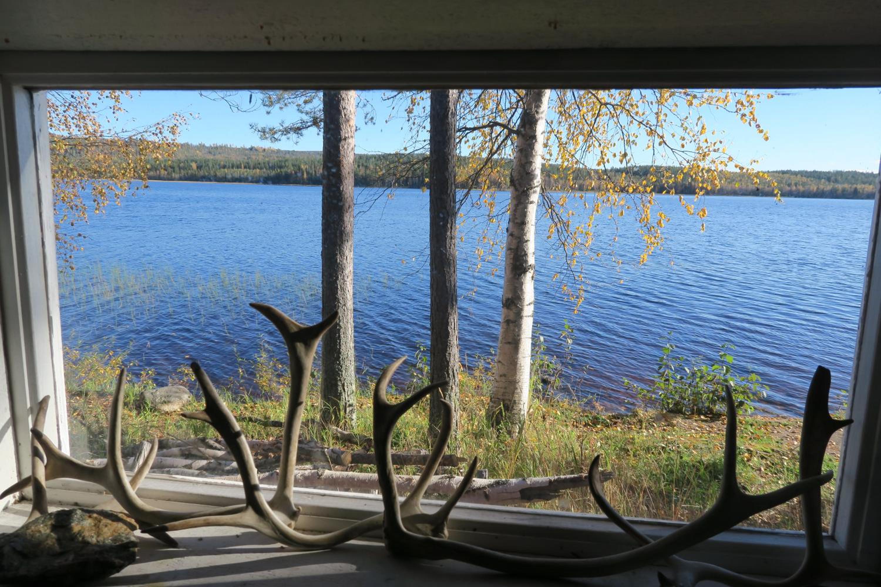 Photo 46