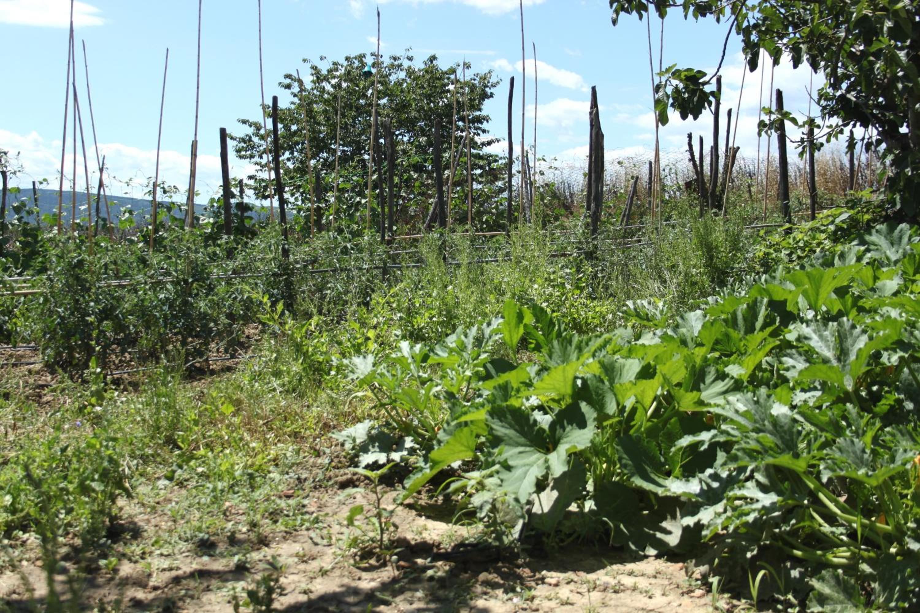 Tenuta La Santissima