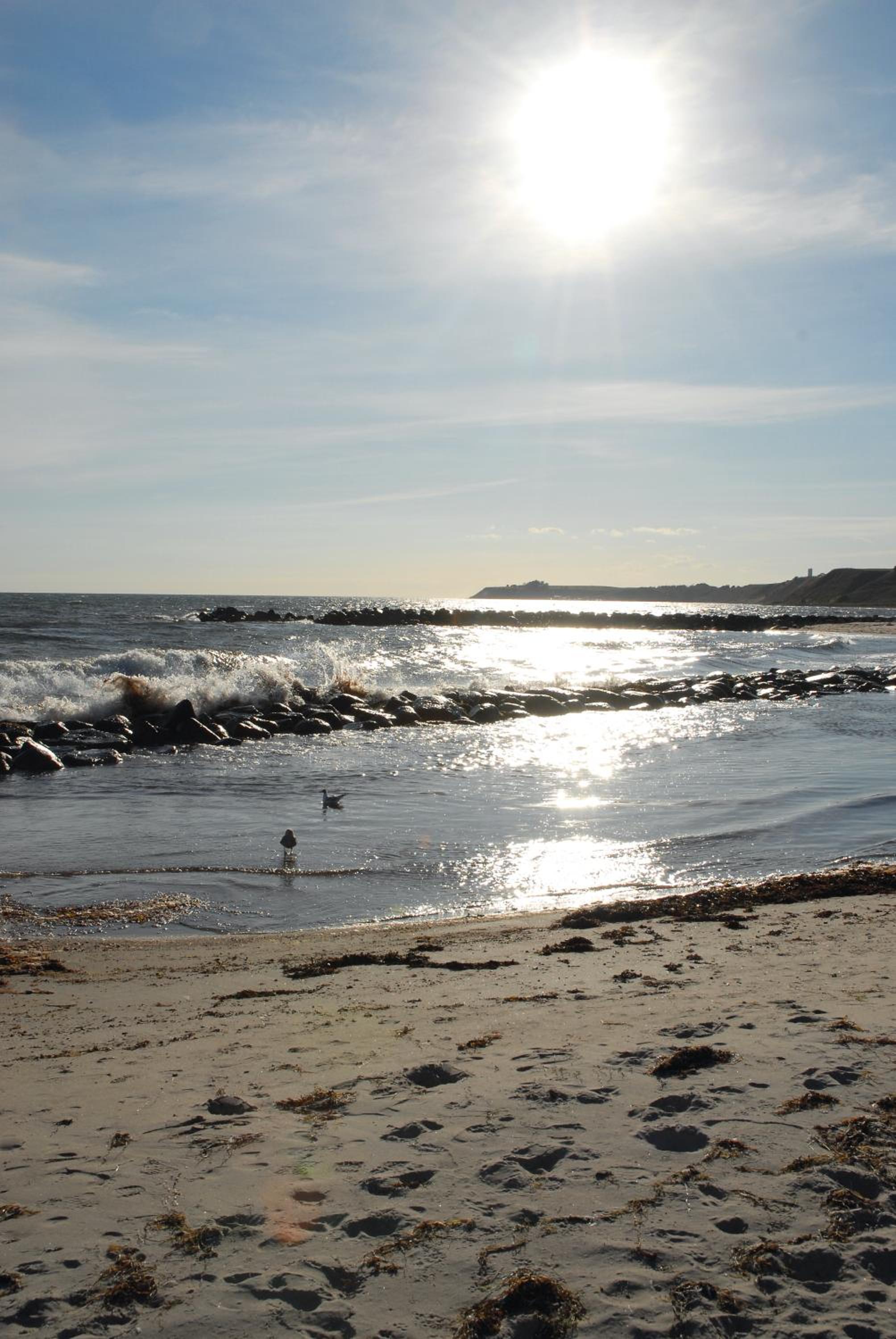 Photo 41