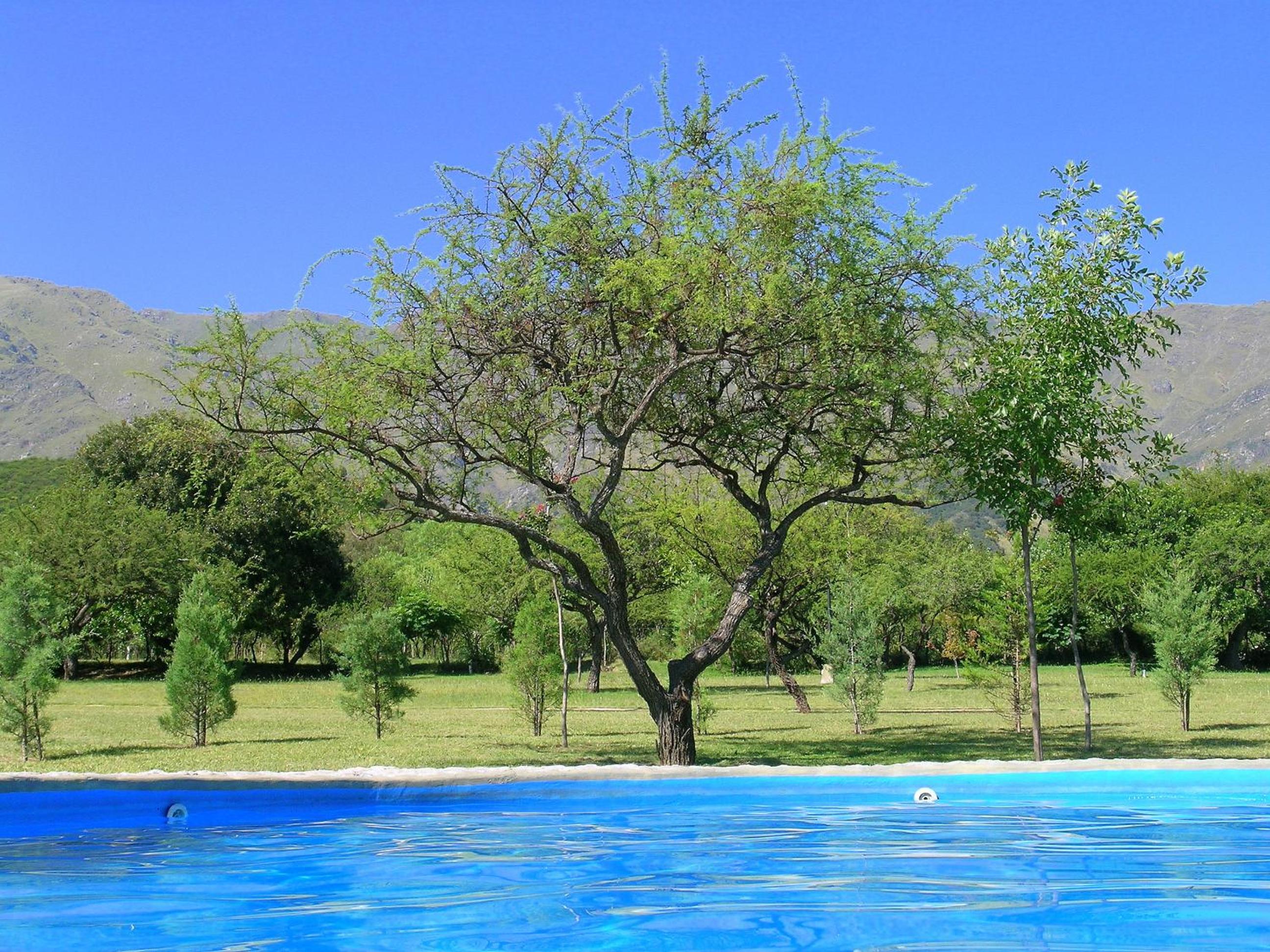 Campo Las Tinajas