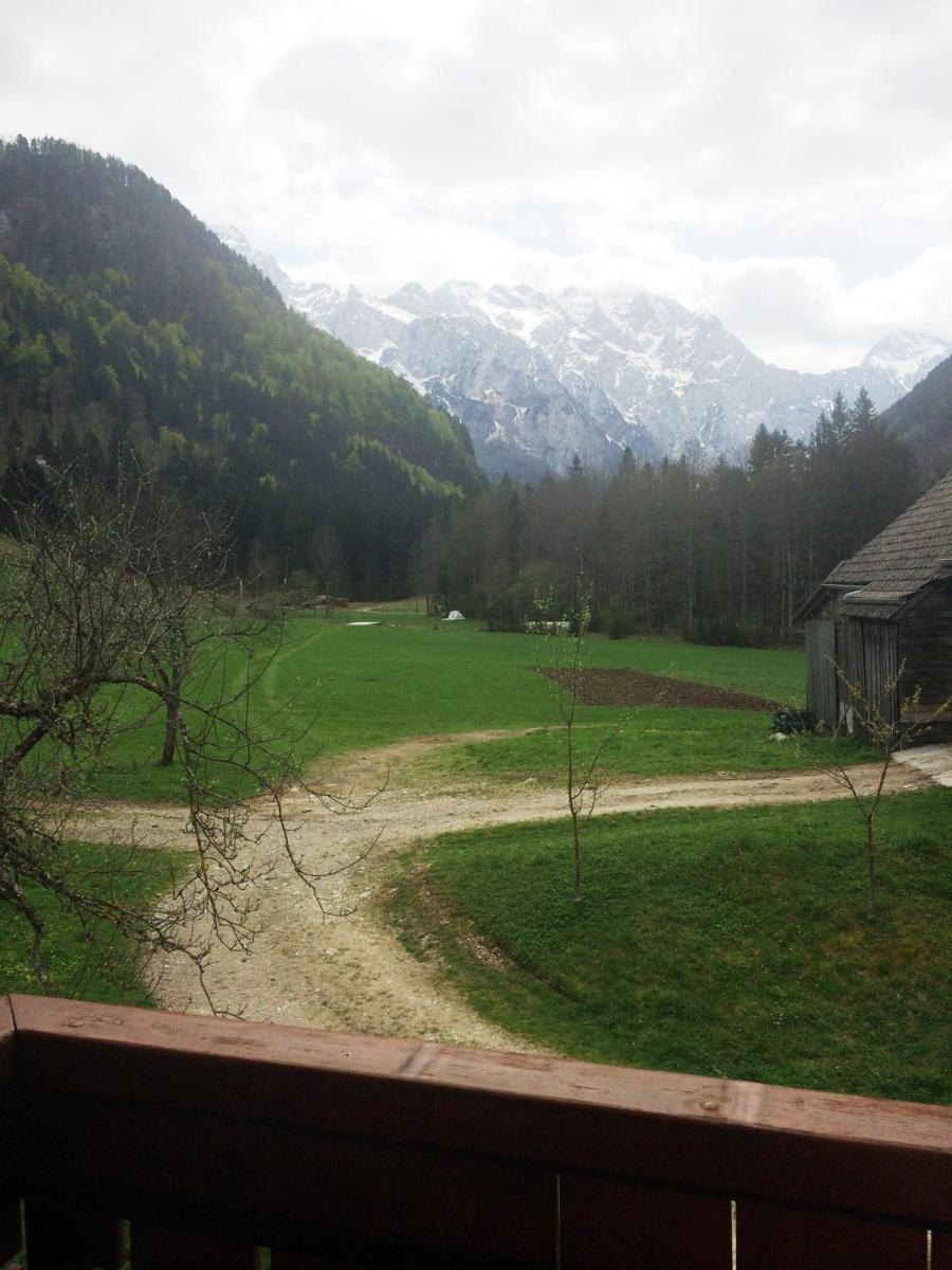 Photo 37