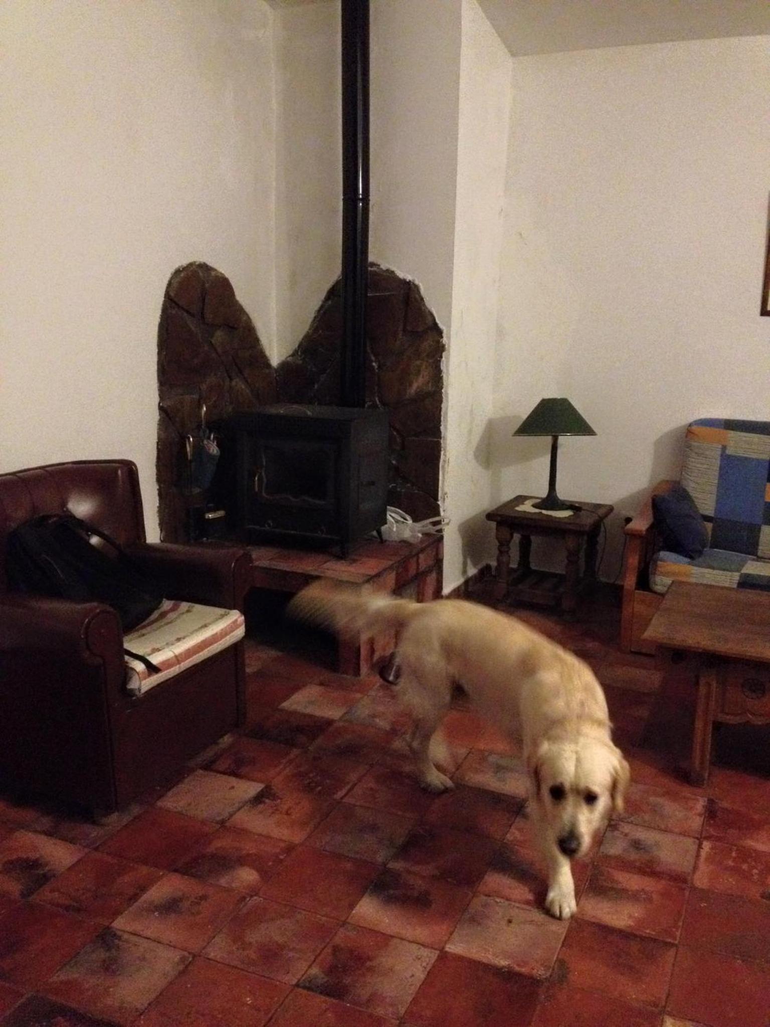 Photo 66