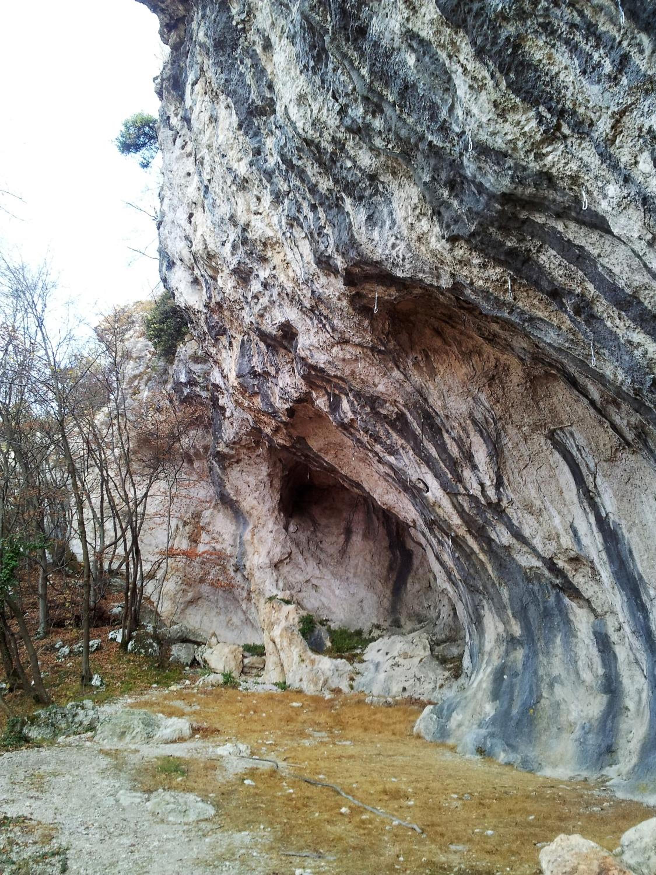 Photo 42