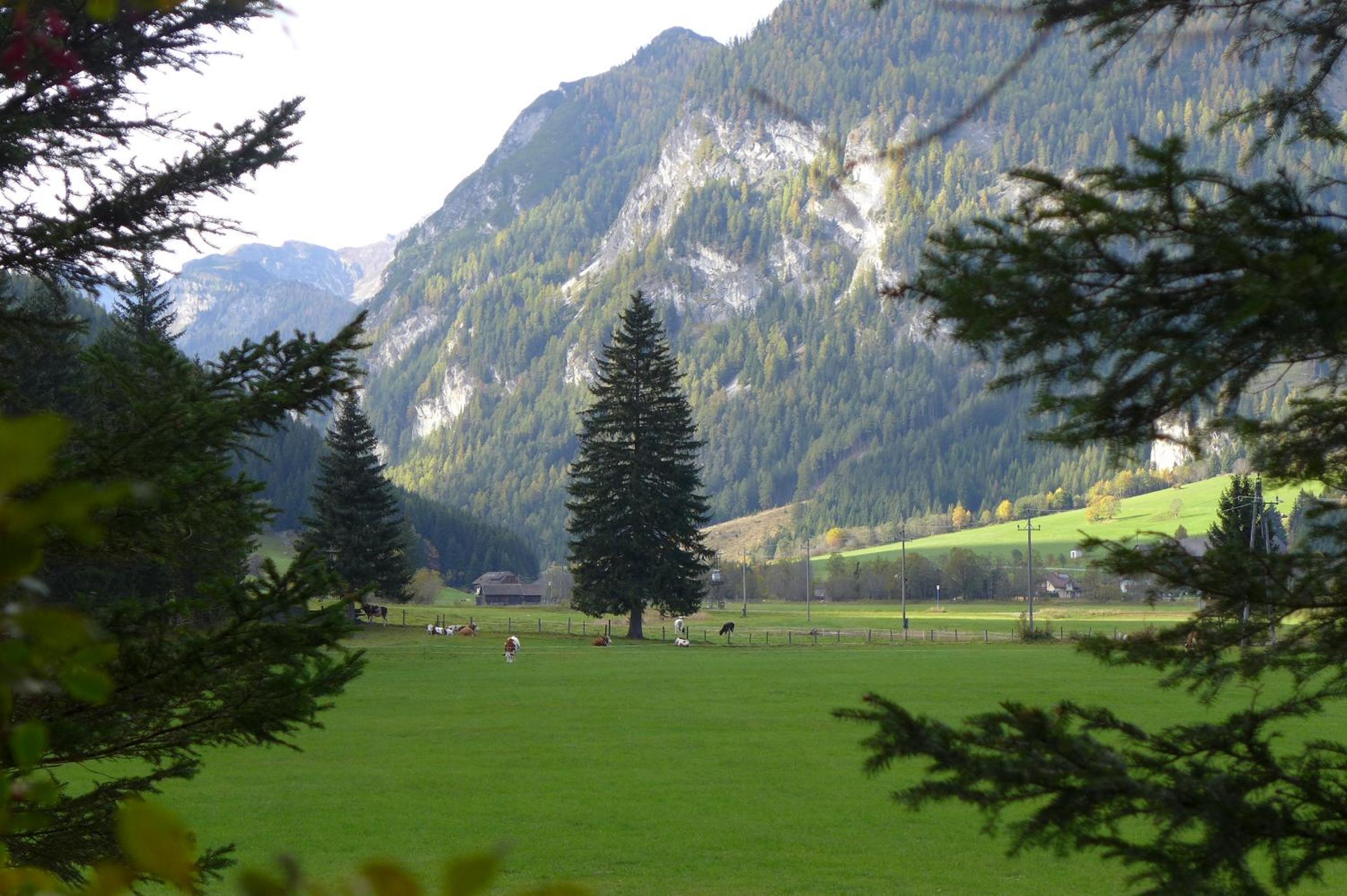 Photo 46