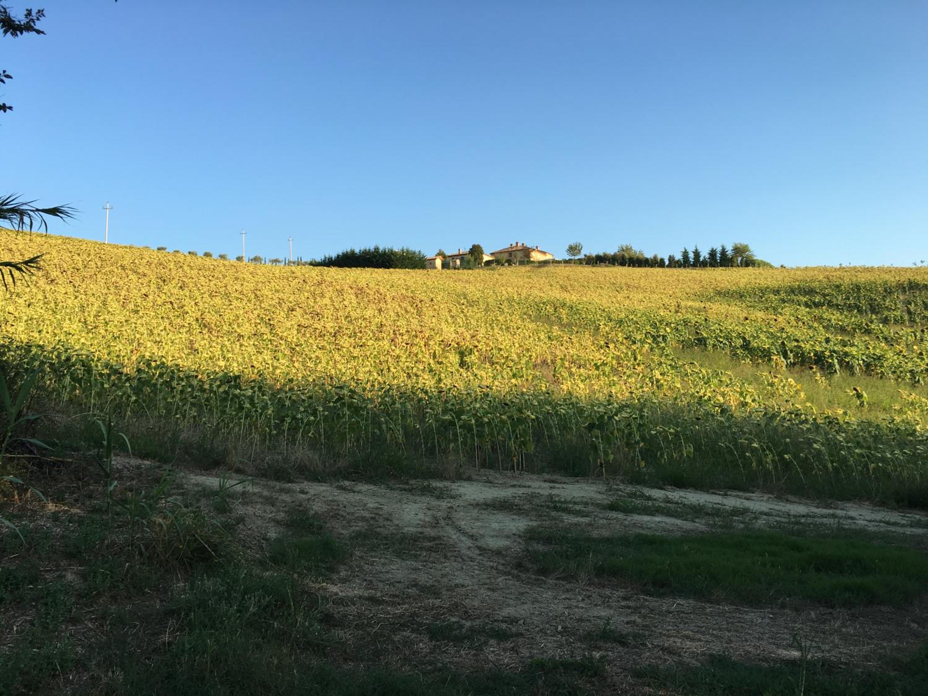 Relais Il Margarito