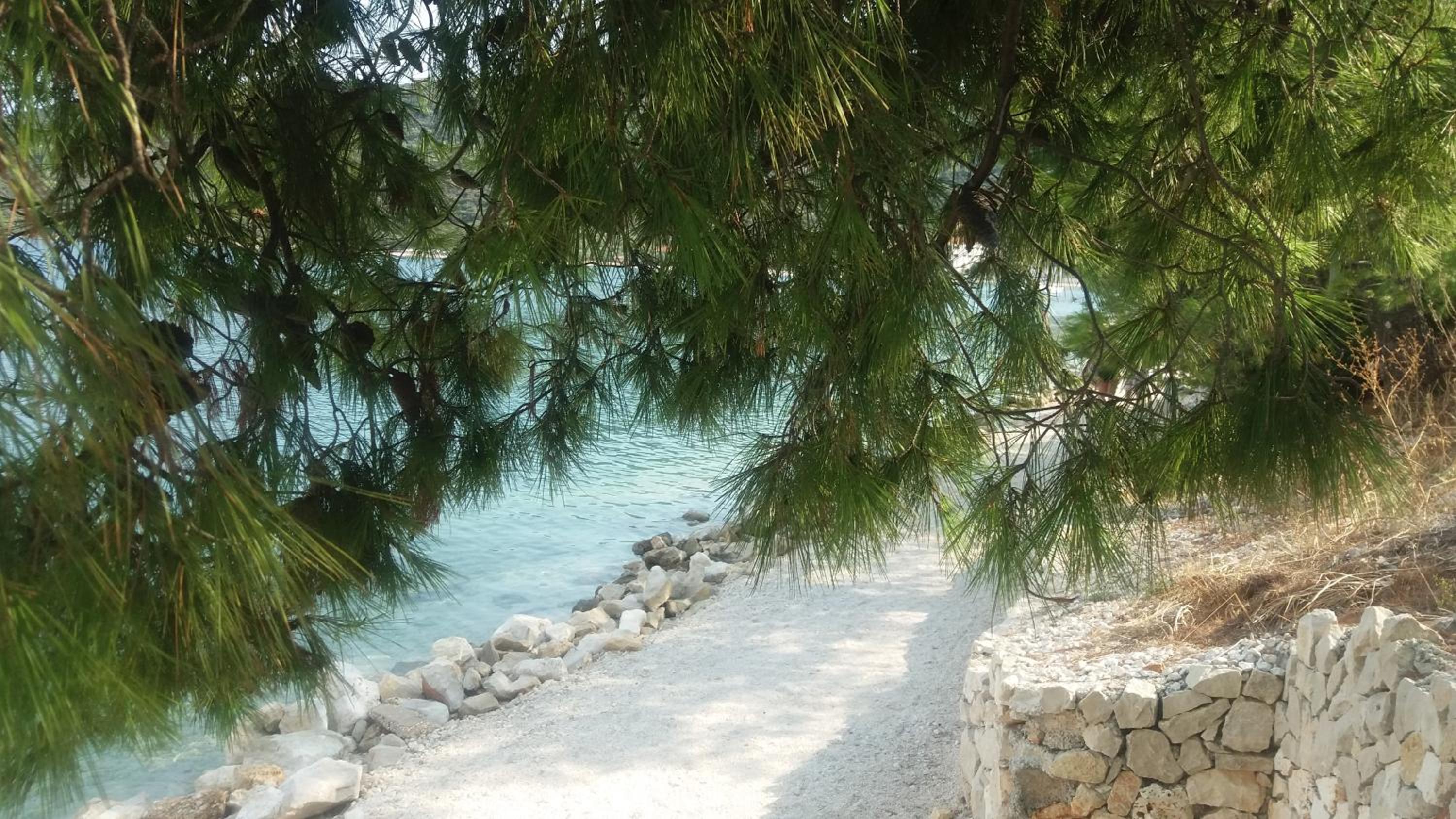 Photo 46
