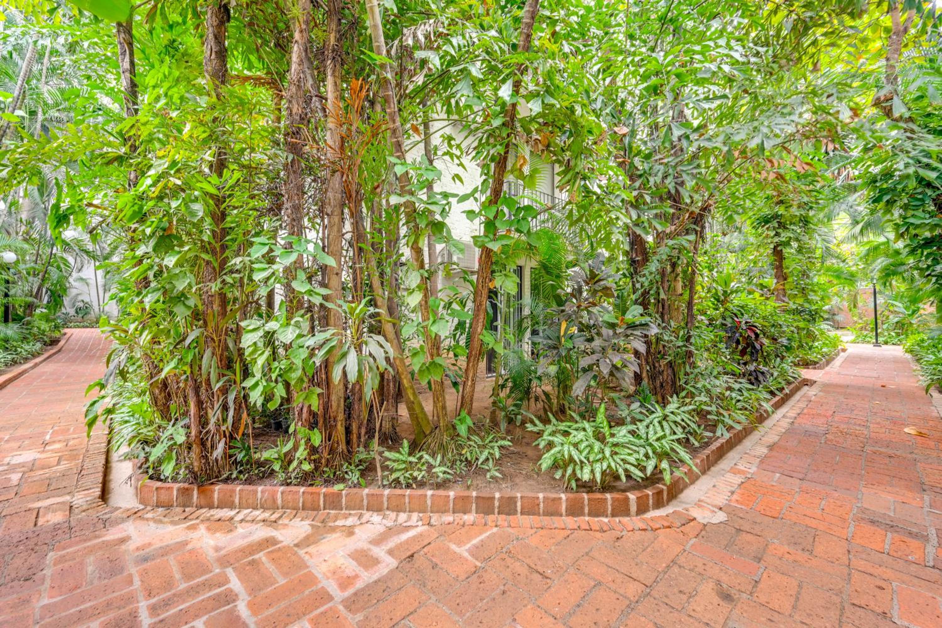 1 Block to Playa Los Tules, Pool Access! Lush Unit