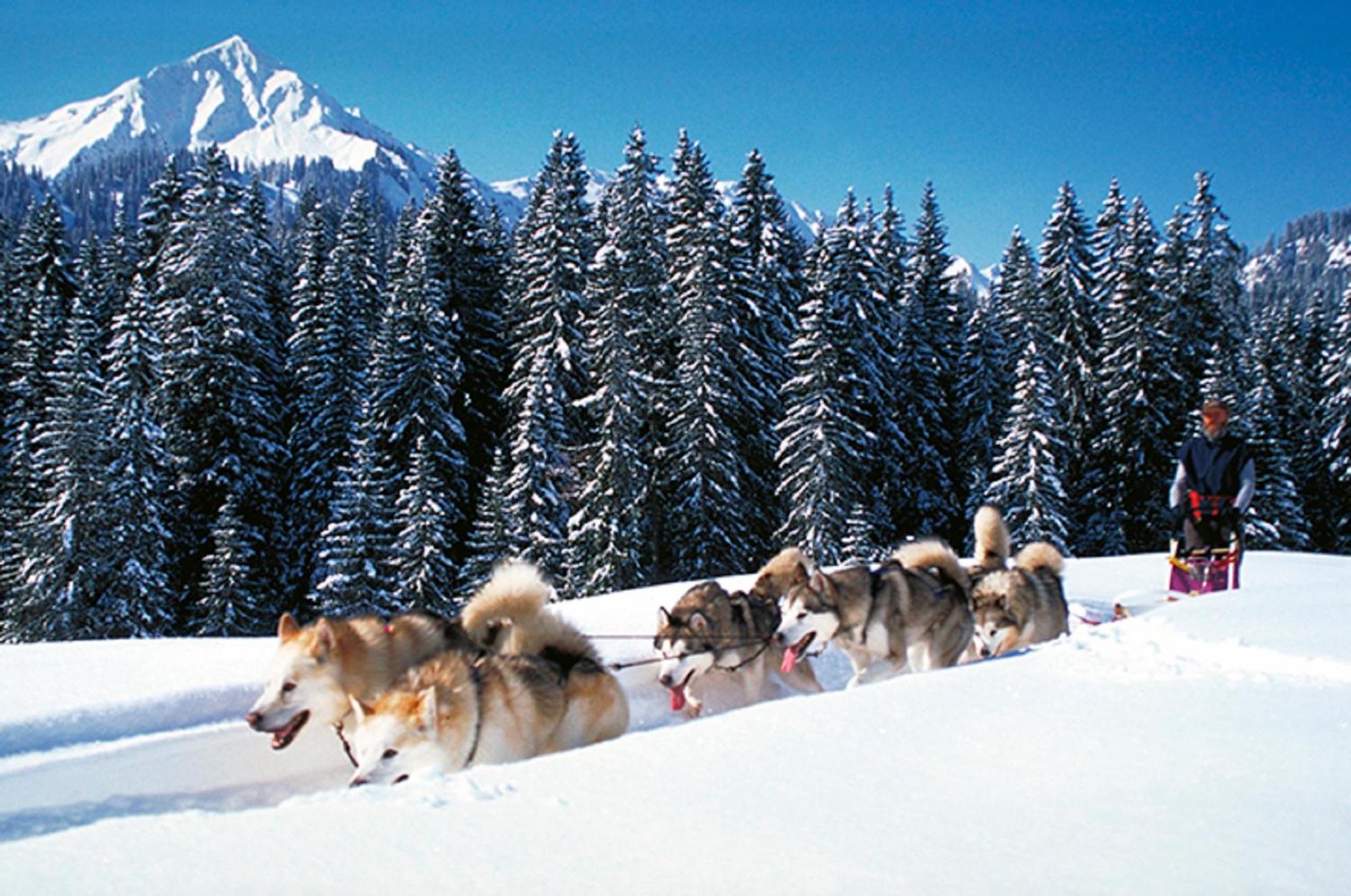 alpen select lodge Kleinwalsertal