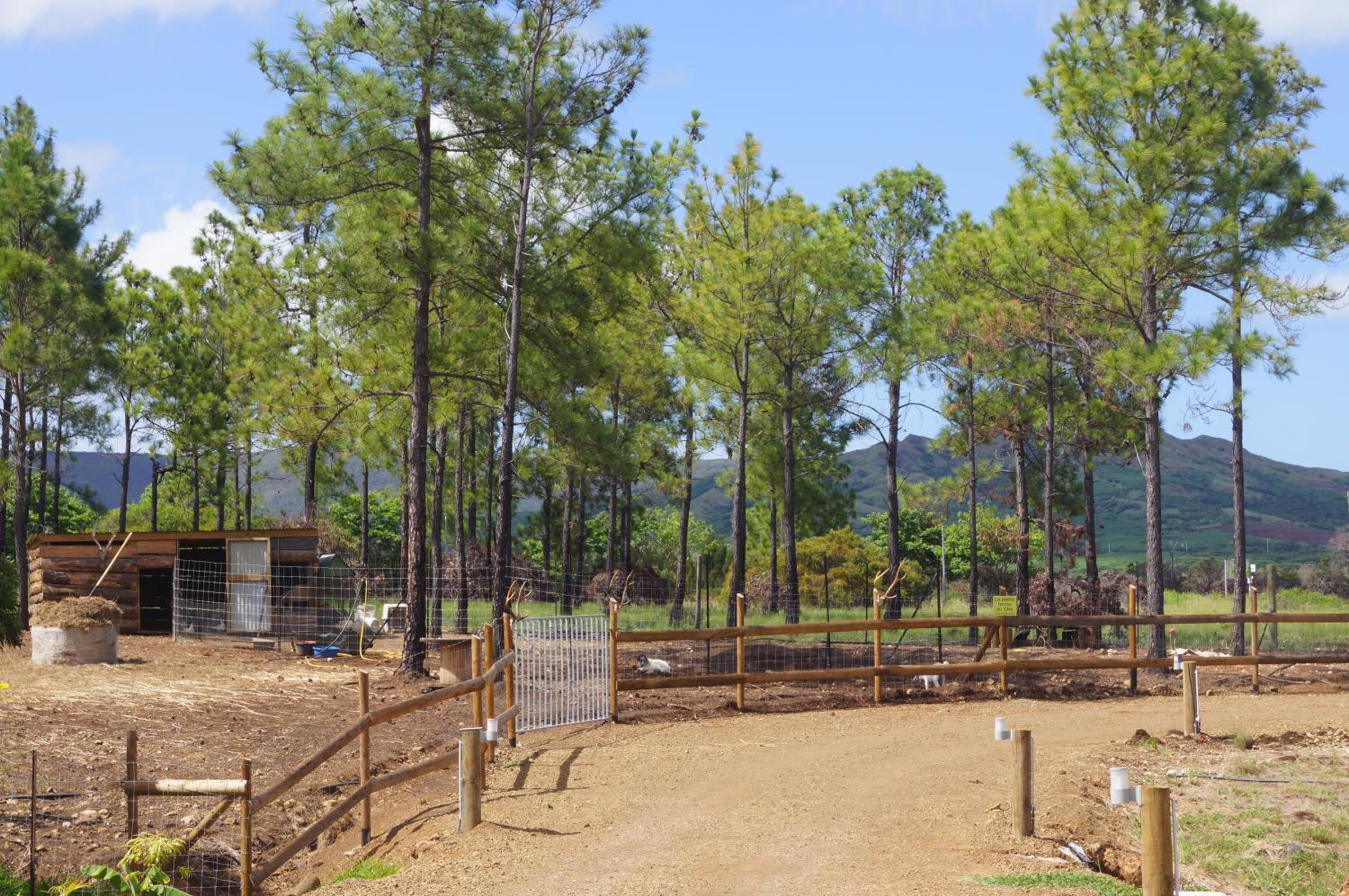 Le Gîte du Koniambo