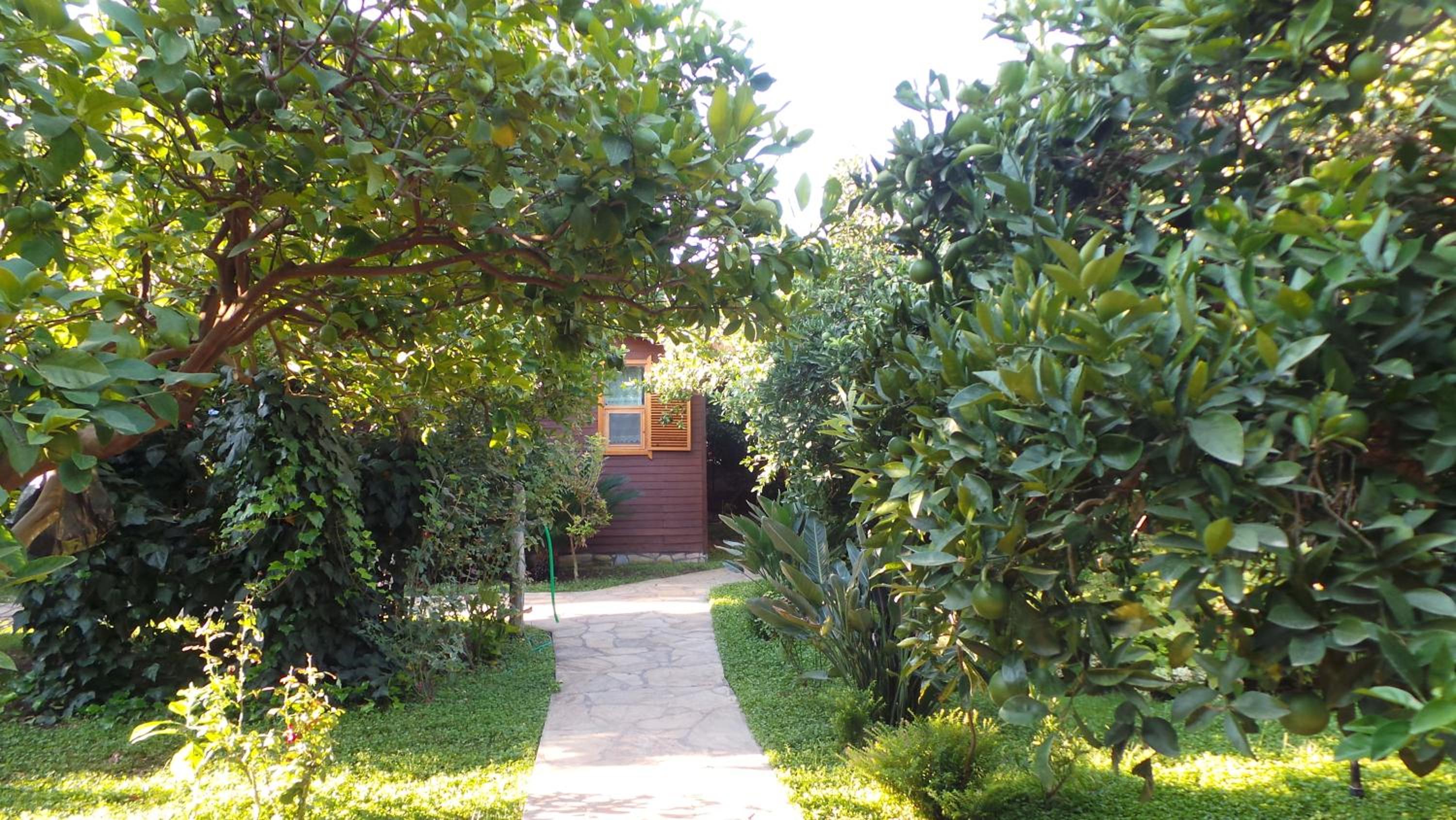 Mercan Bungalow