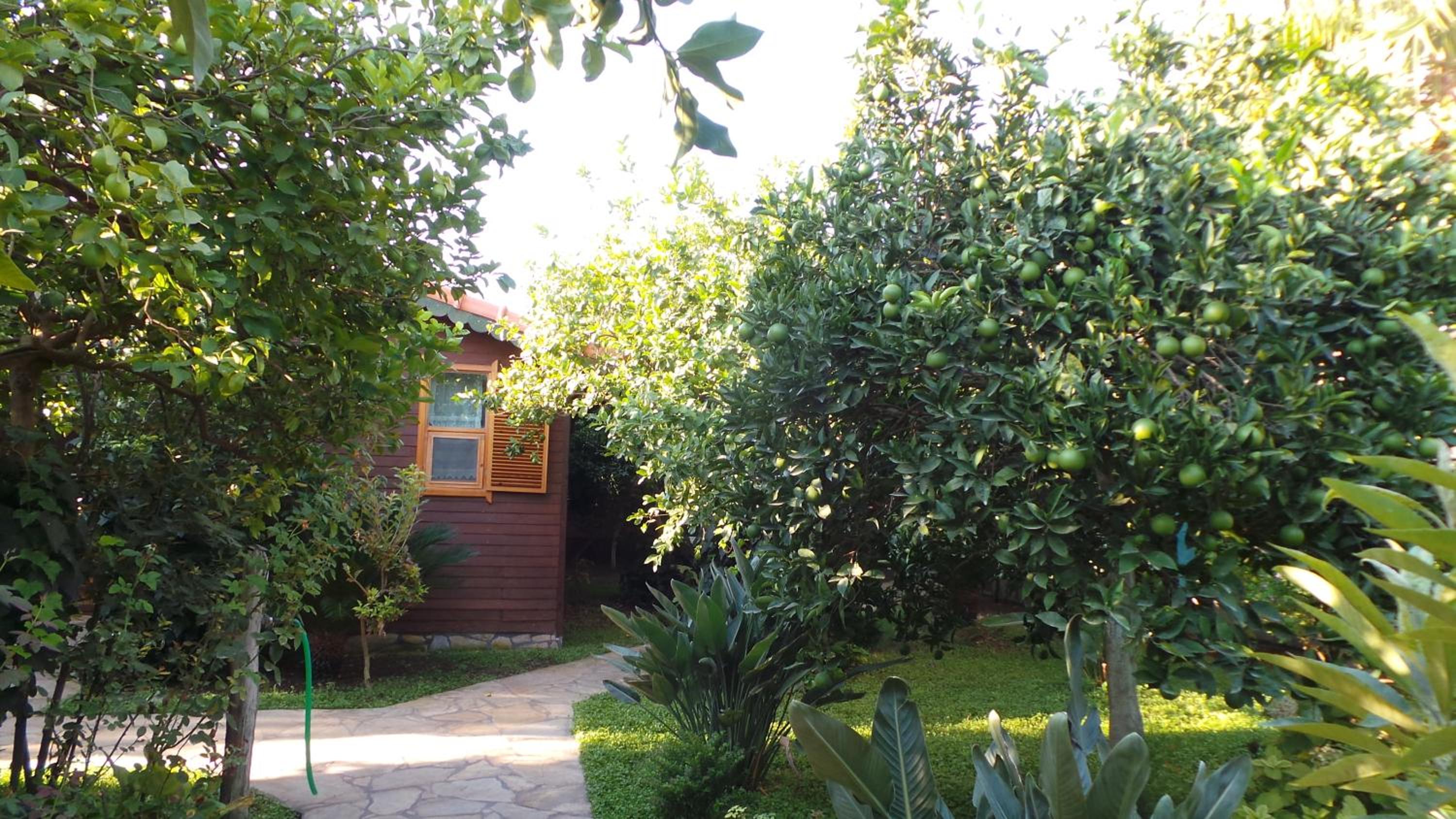 Mercan Bungalow