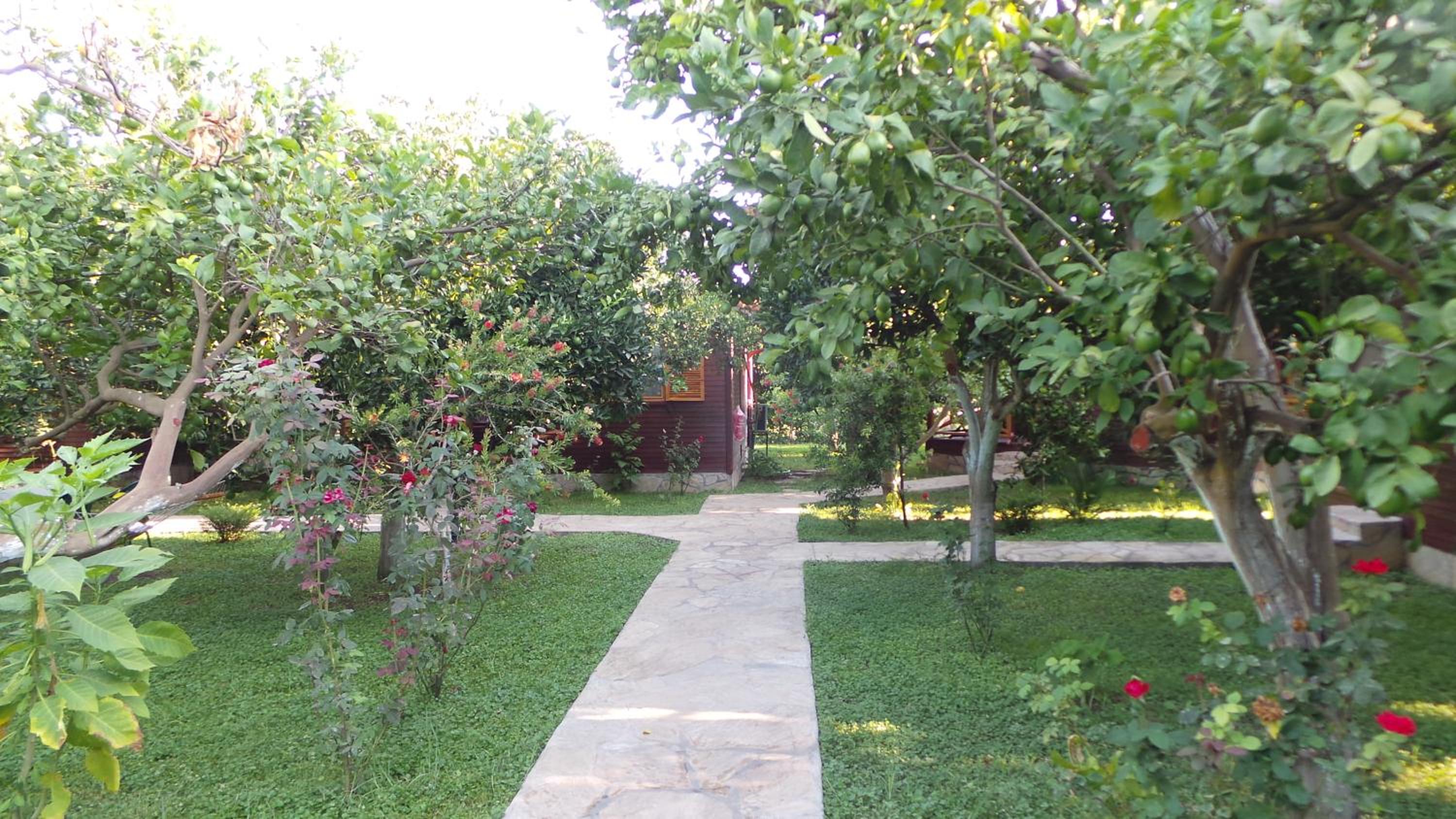 Mercan Bungalow