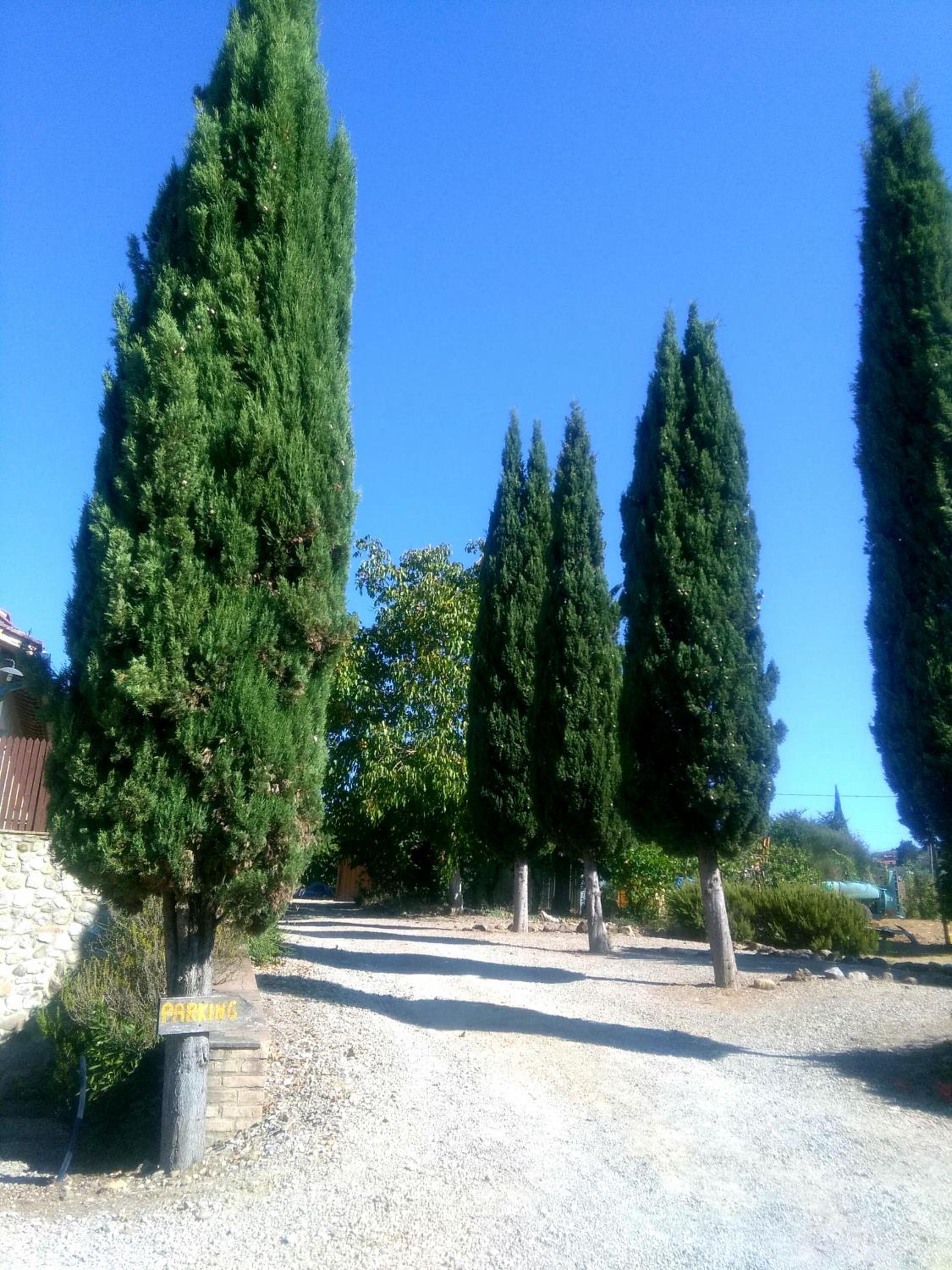 Casa ai Carfini