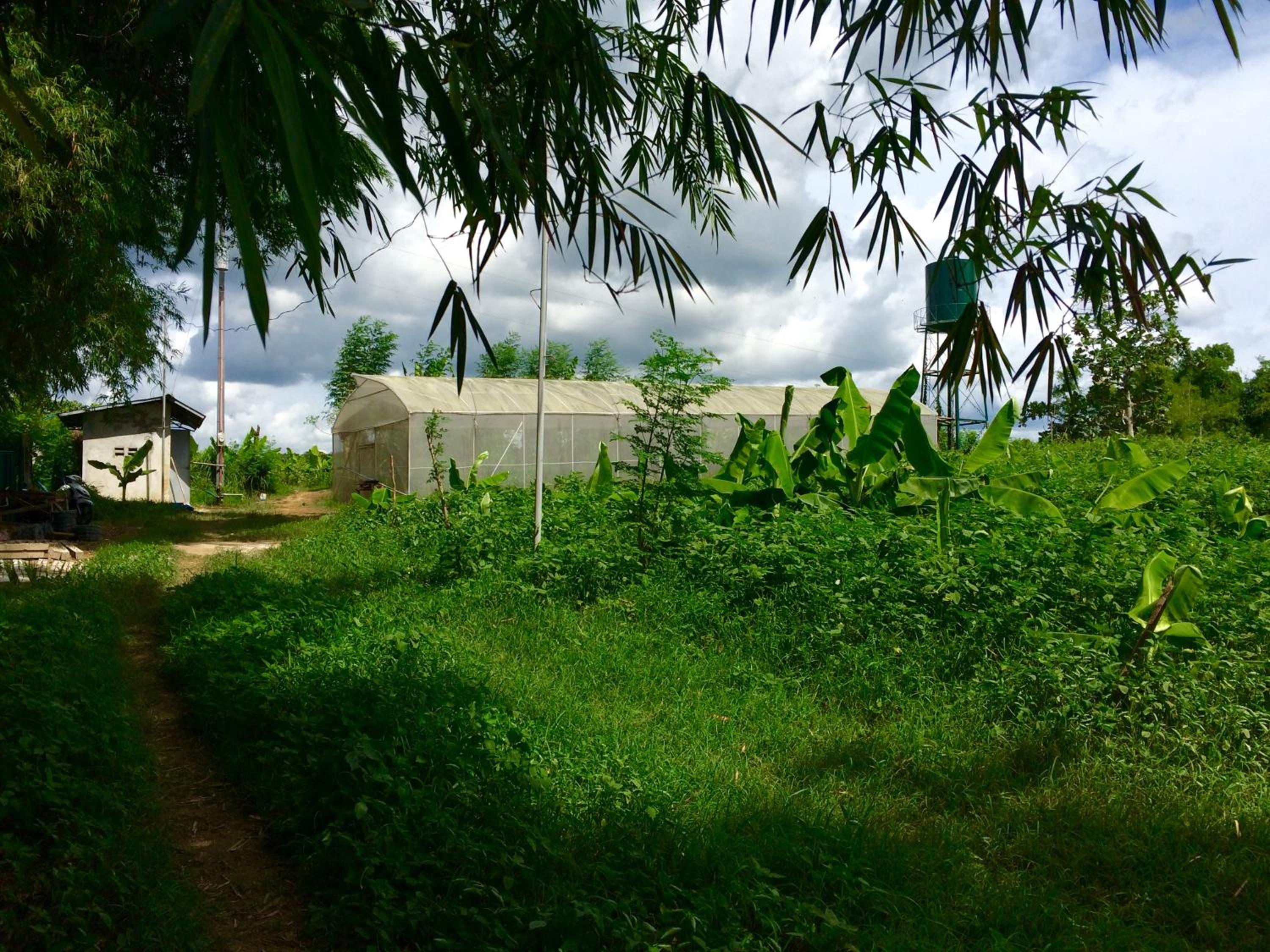Photo 41