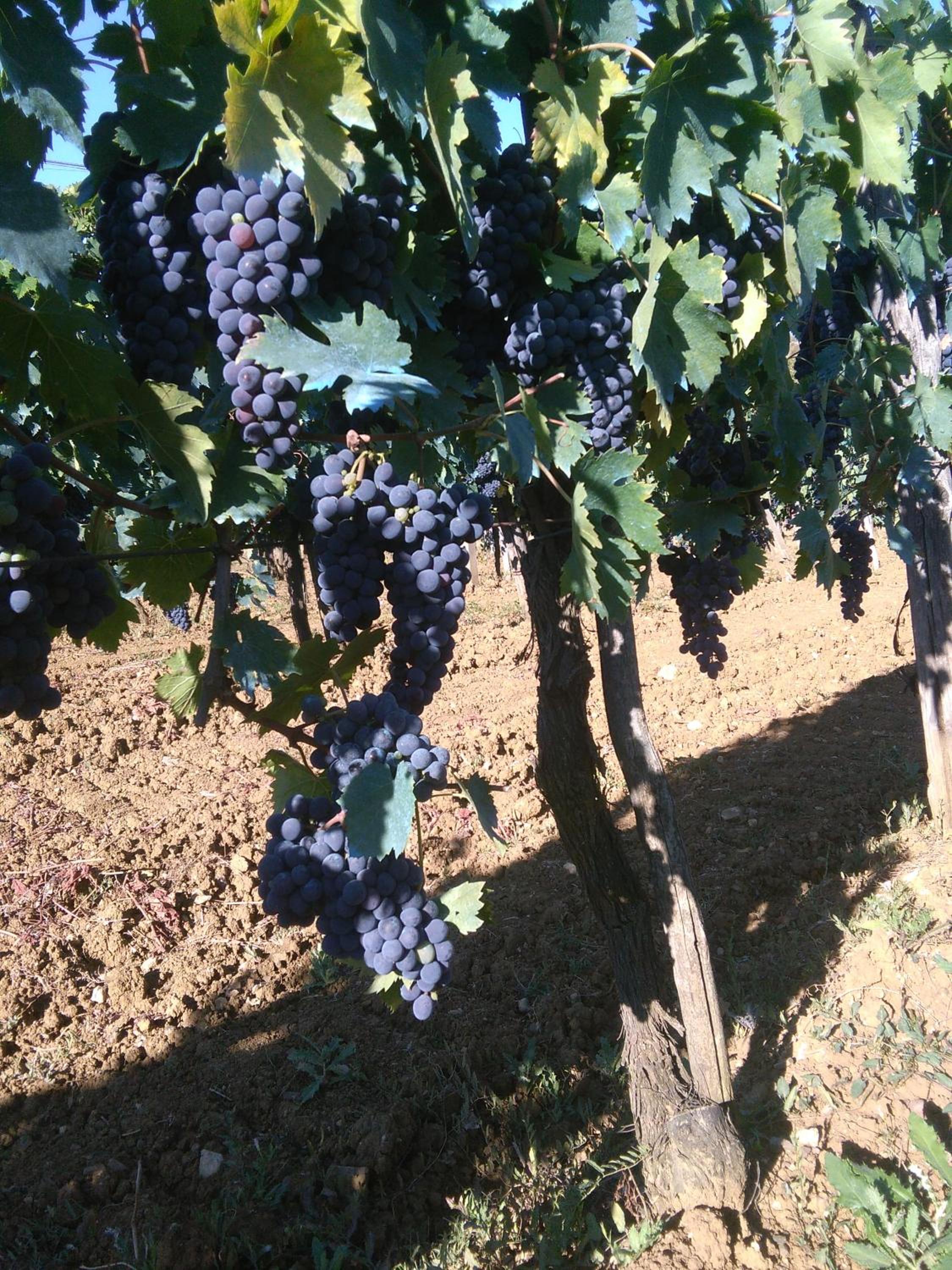 Casa ai Carfini