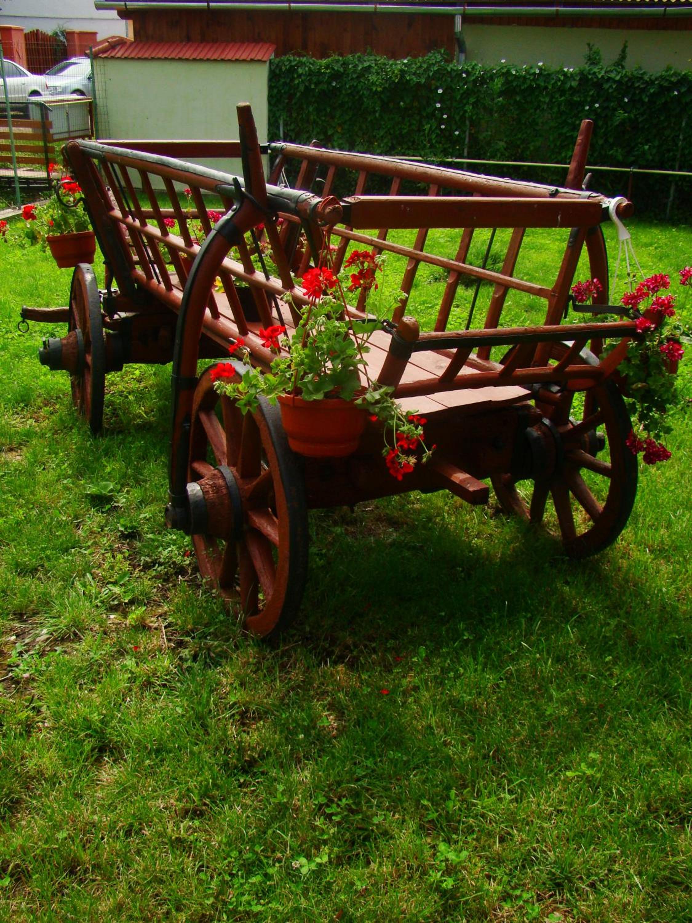 Colt de Rai, photo 36