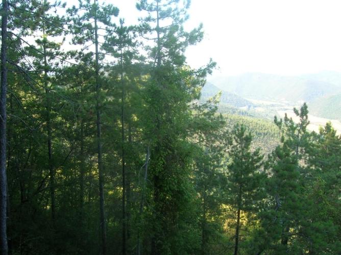 Casa Antonella view 5