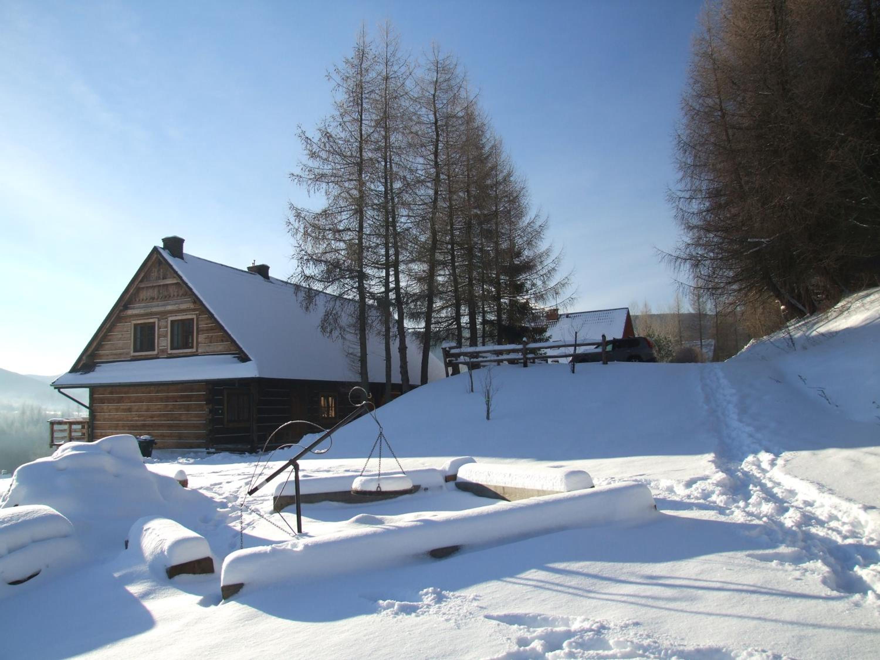 Photo 6