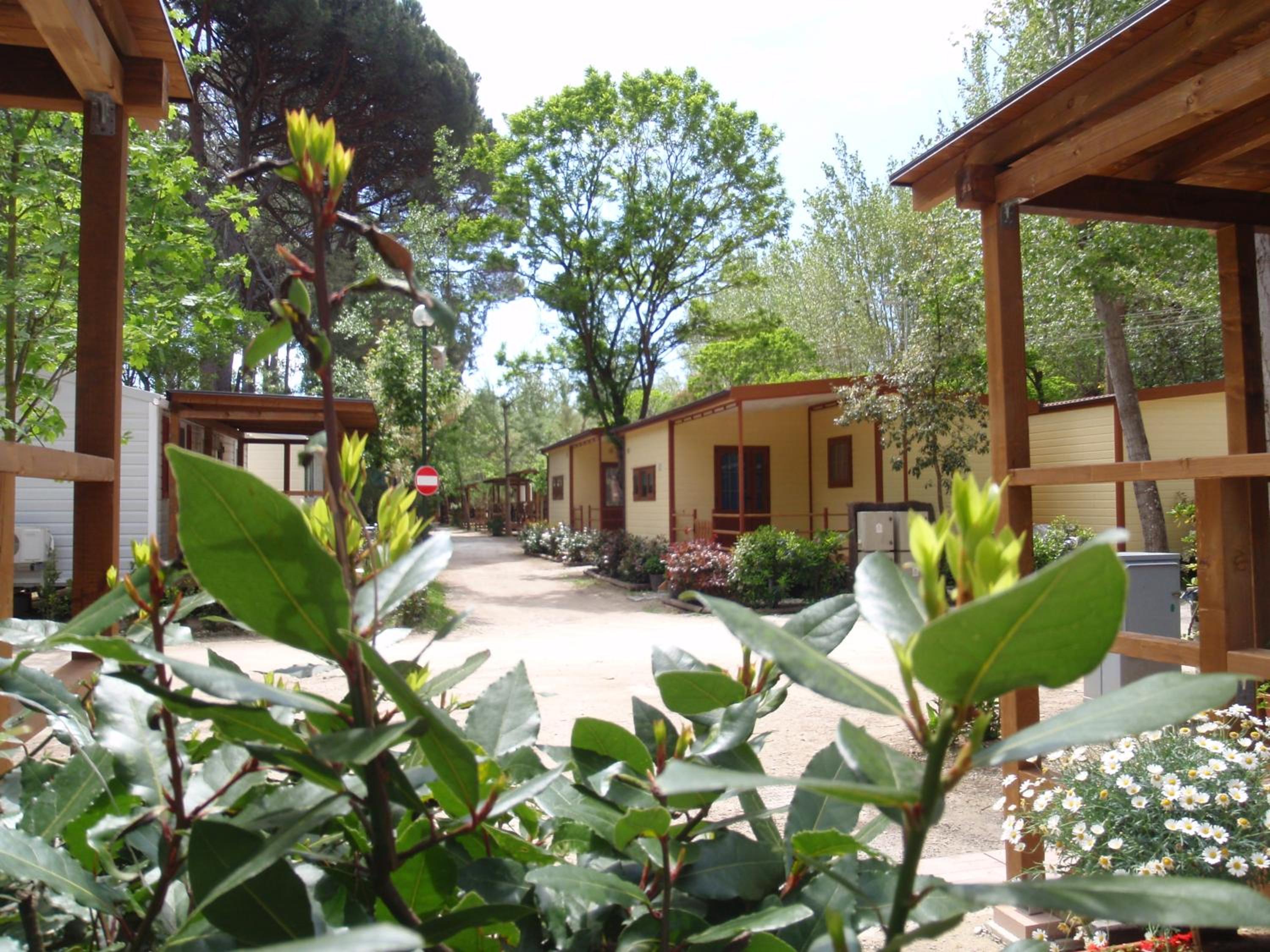 Campeggio Boscoverde, photo 101