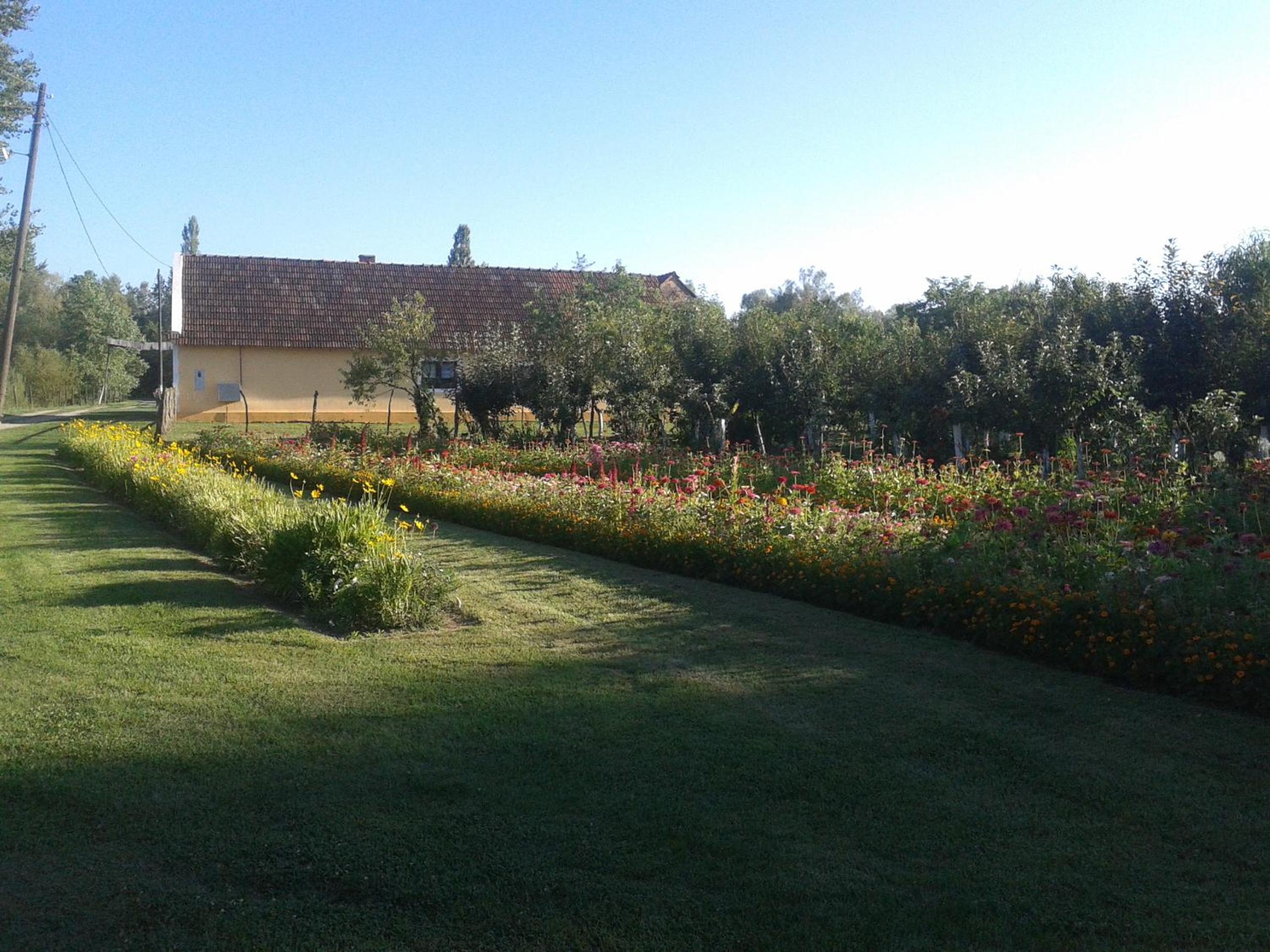 Photo 46