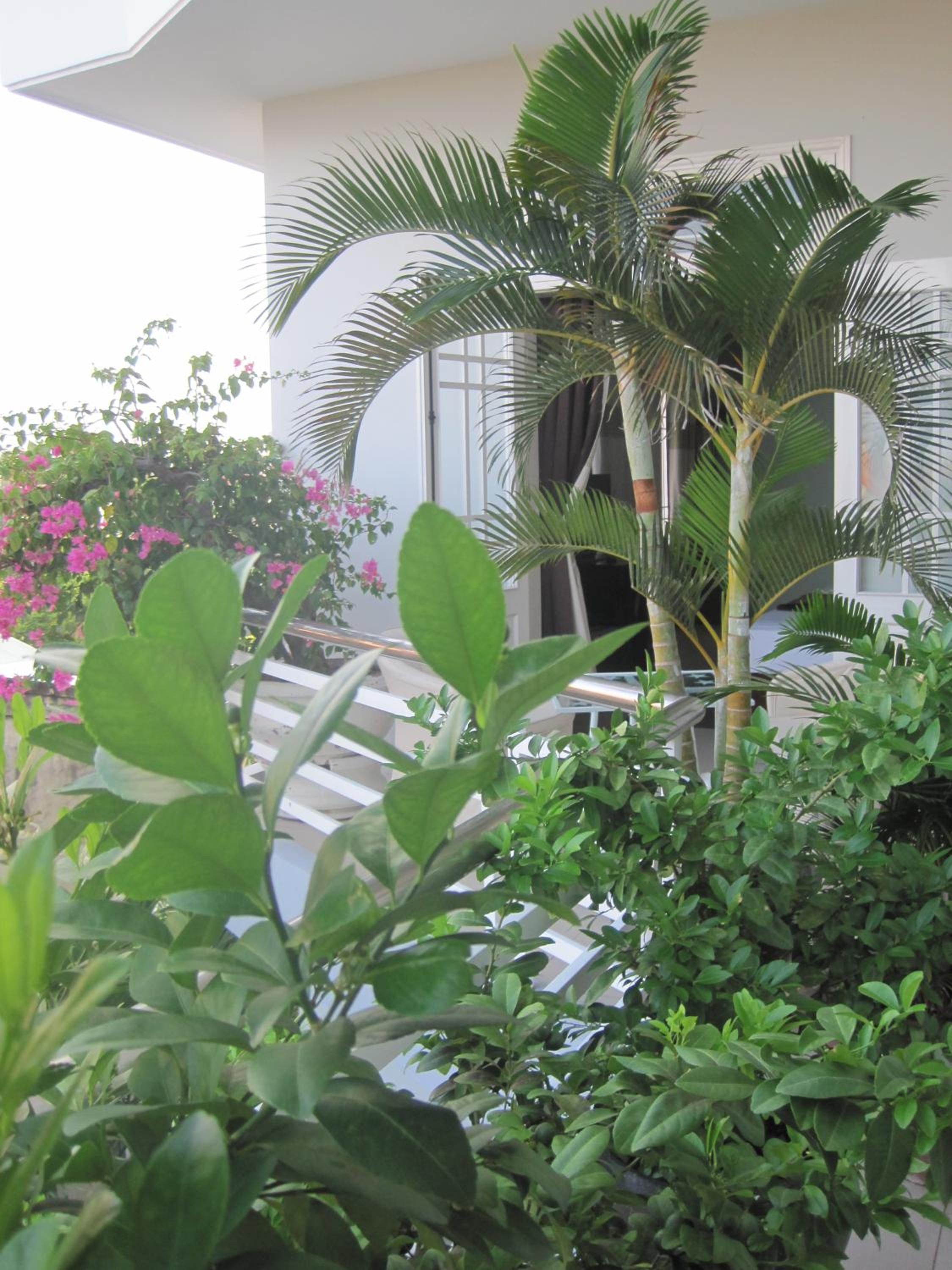 The Moon Villa Hoi An