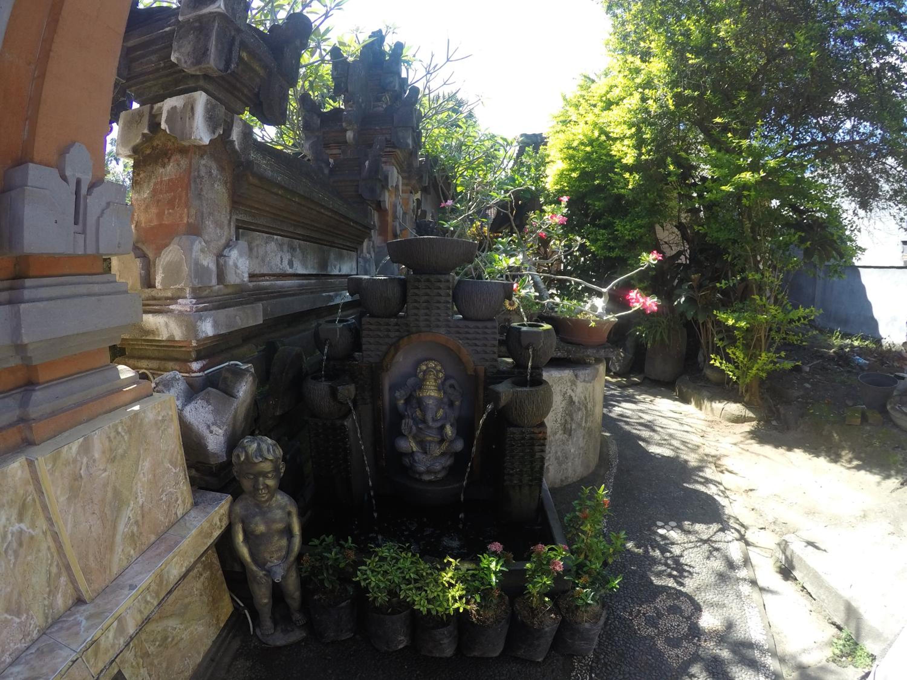 Photo 14