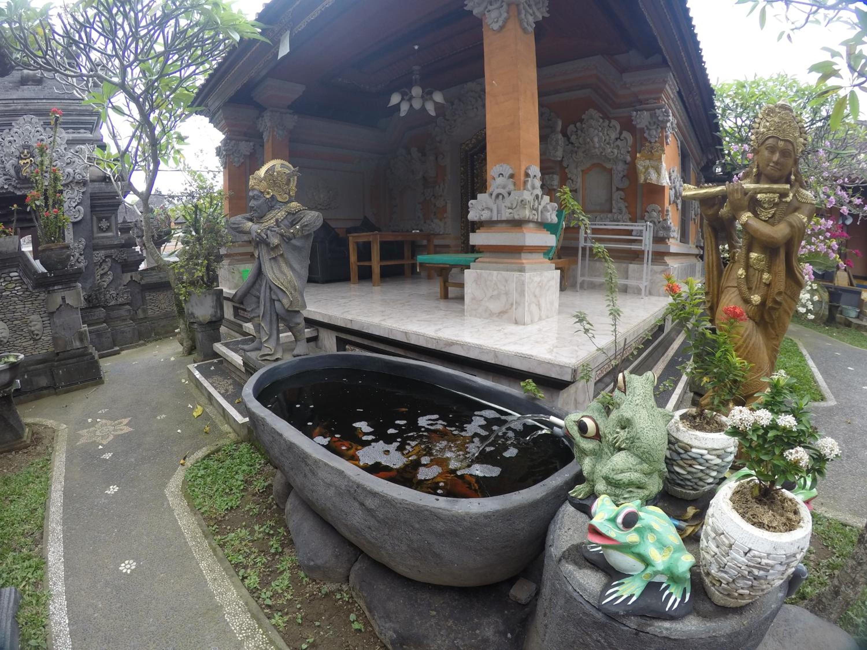 Eka's Homestay view 3
