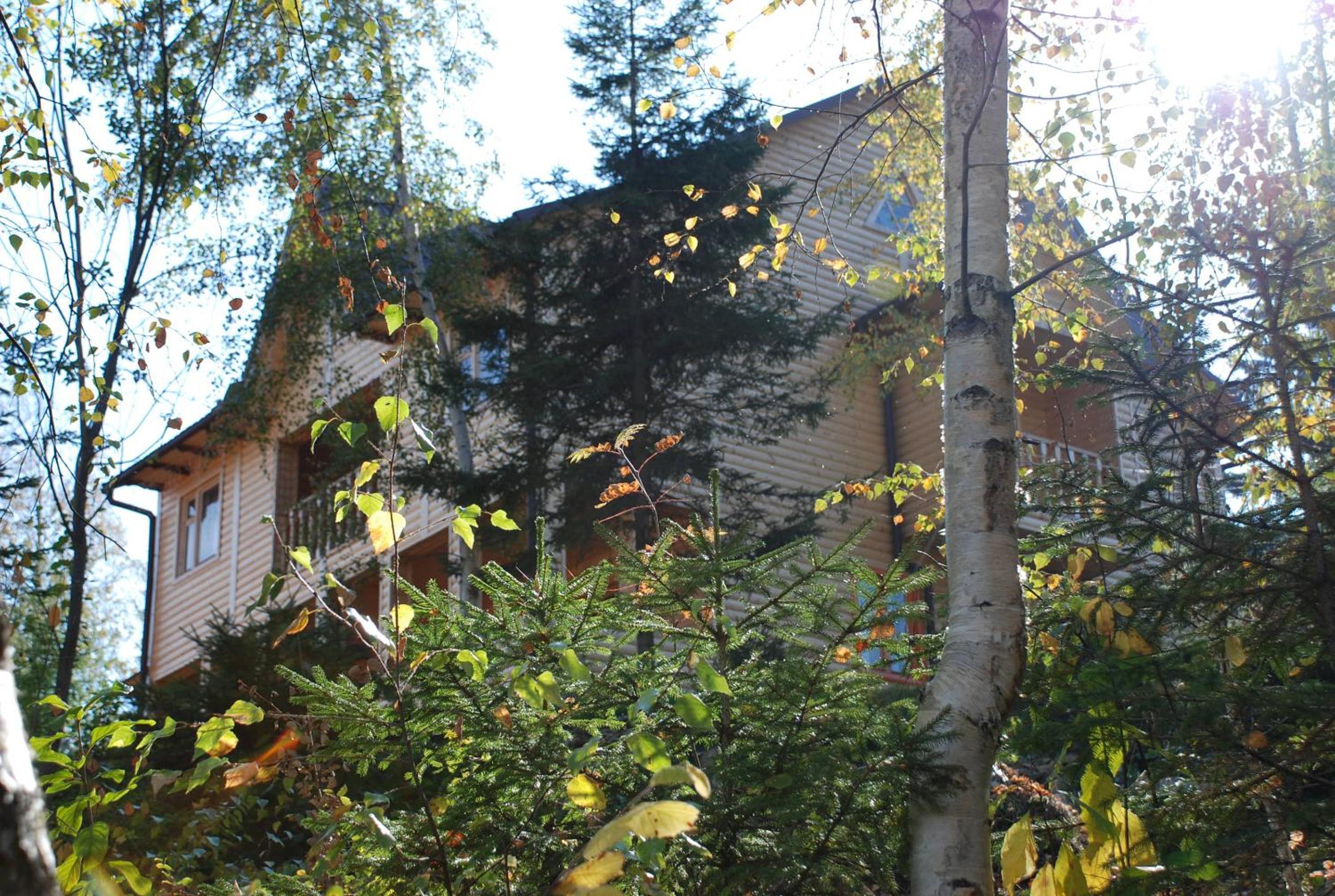 Photo 8