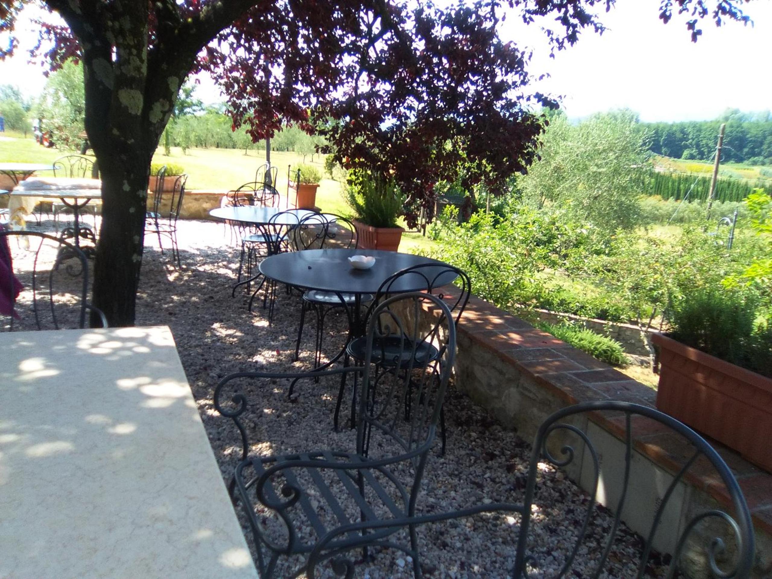 Amedea Tuscany Country Experience
